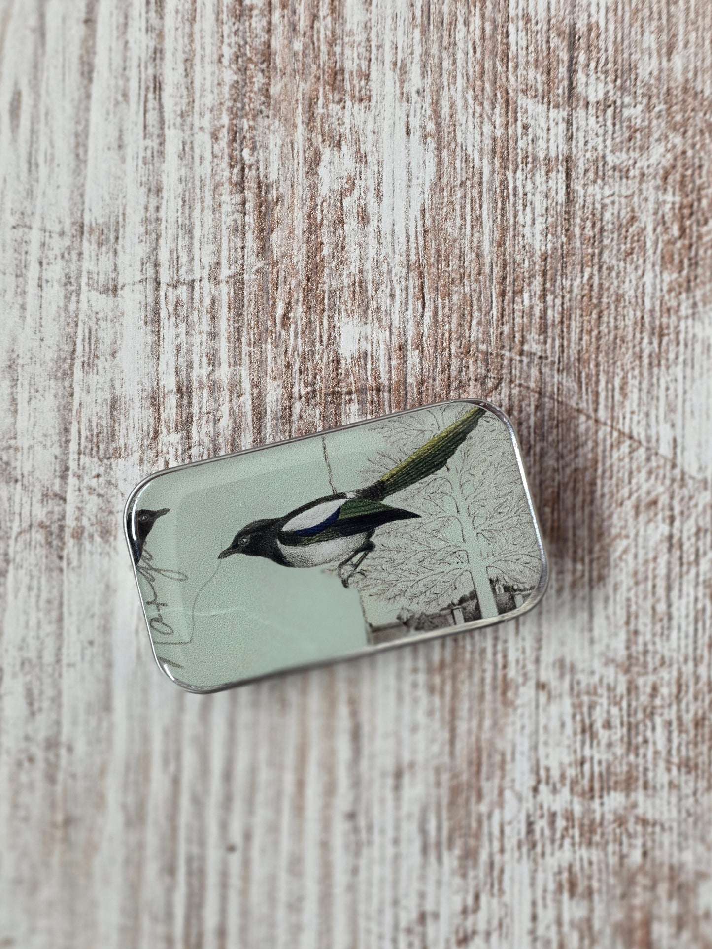 Small Magpie Notions Tin