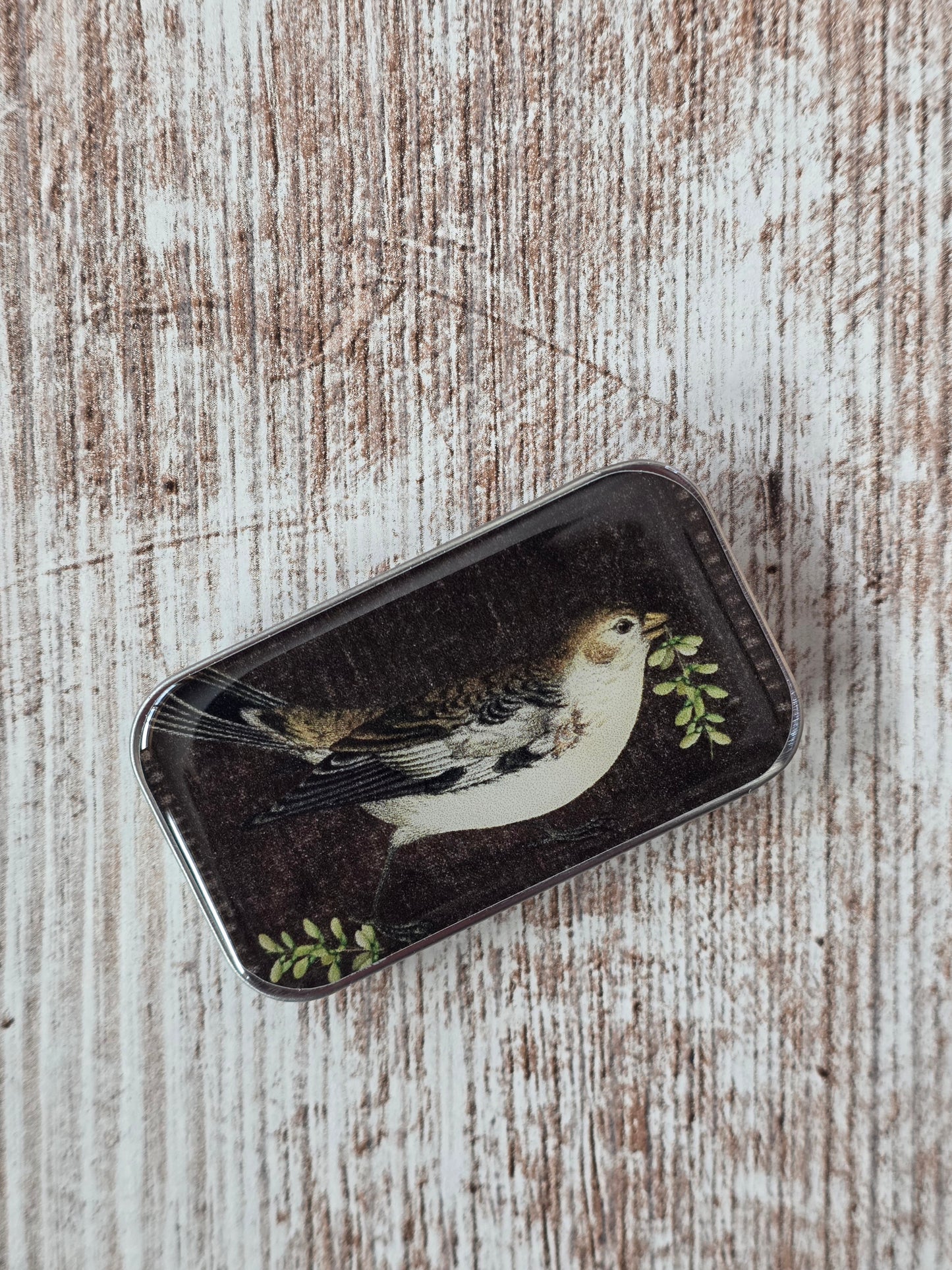 Small Birdsong Notions Tin