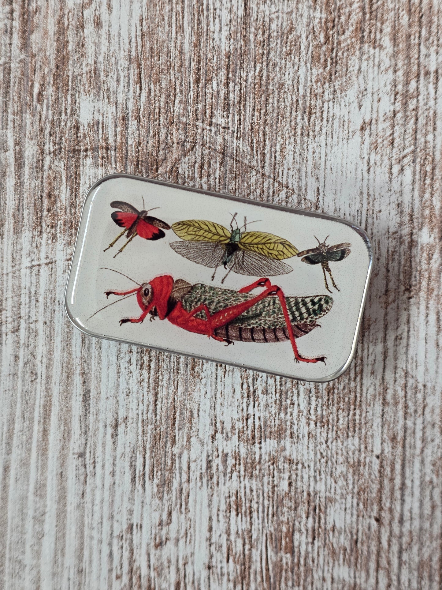 Small Cricket Notions Tin