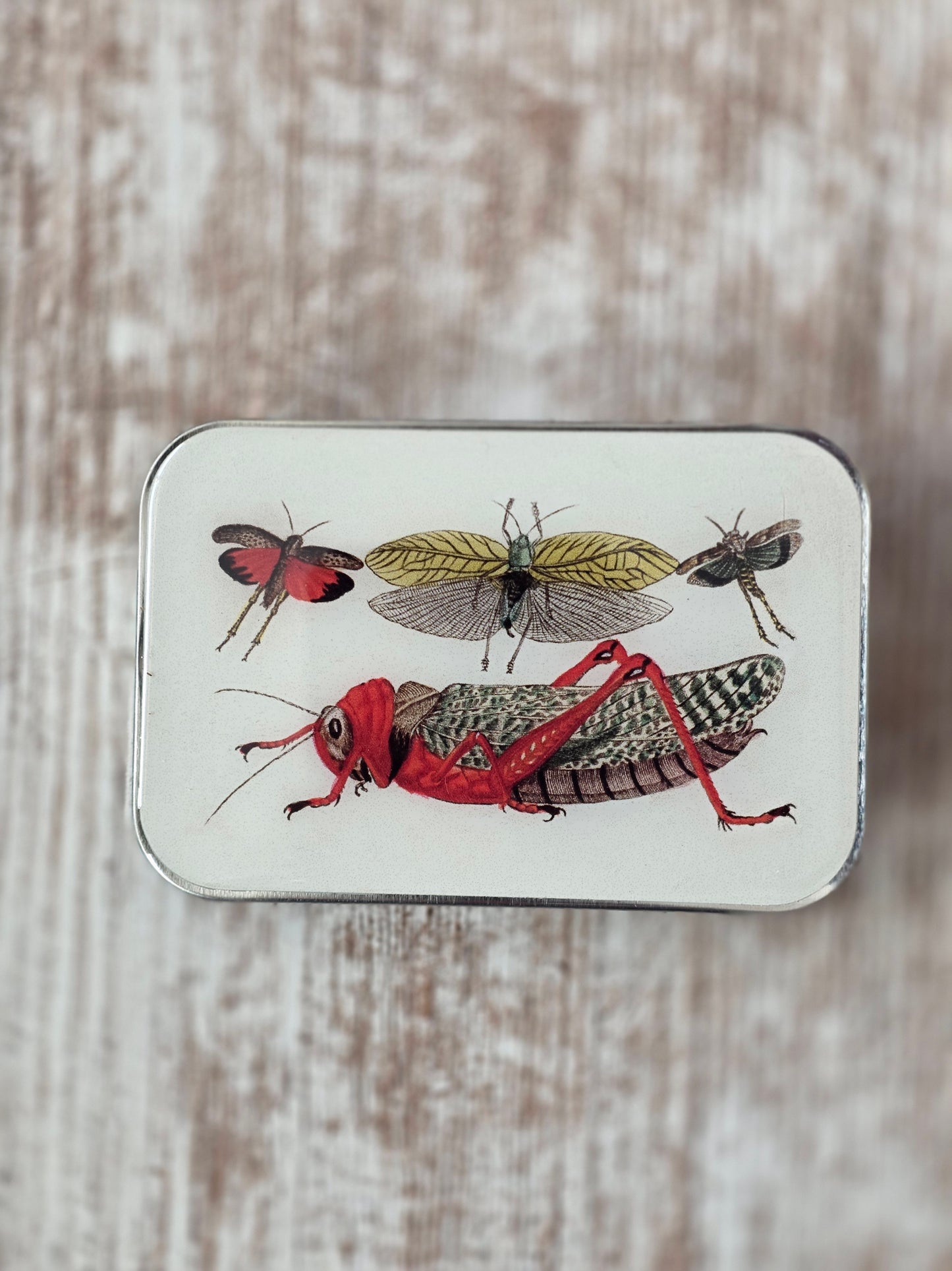 Large Cricket Notions Tin