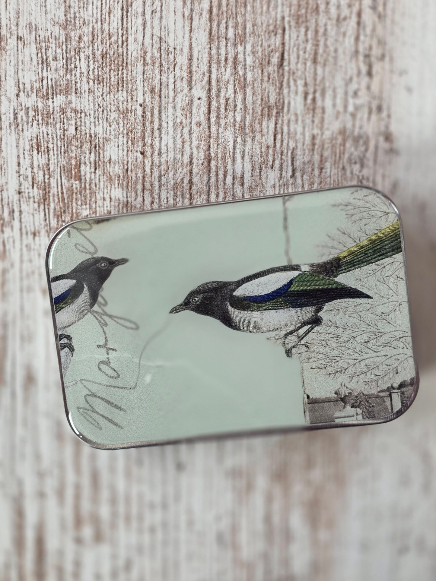 Large Magpie Notions Tin