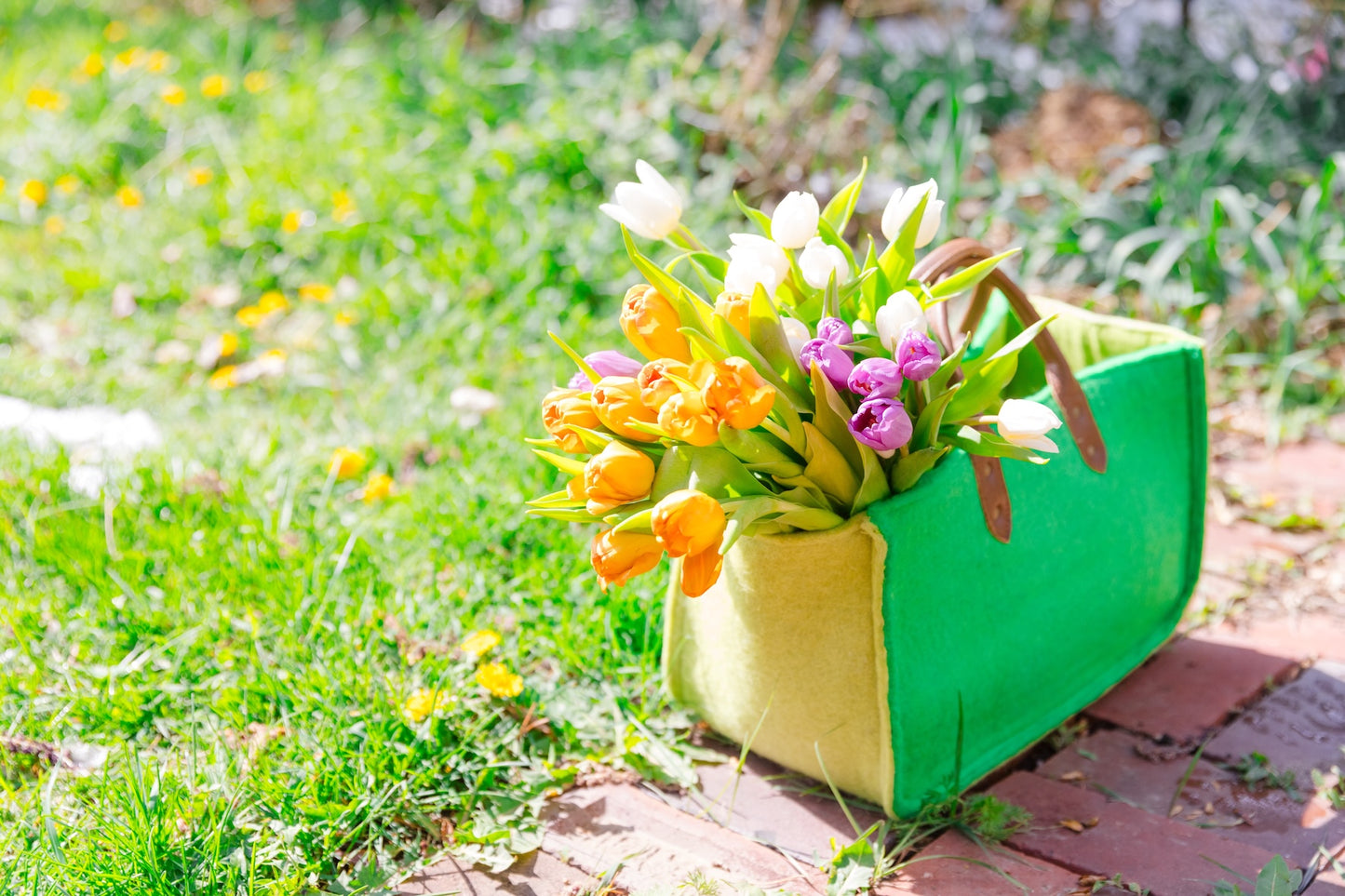 Grab & Go Carry All Tote | Parrot