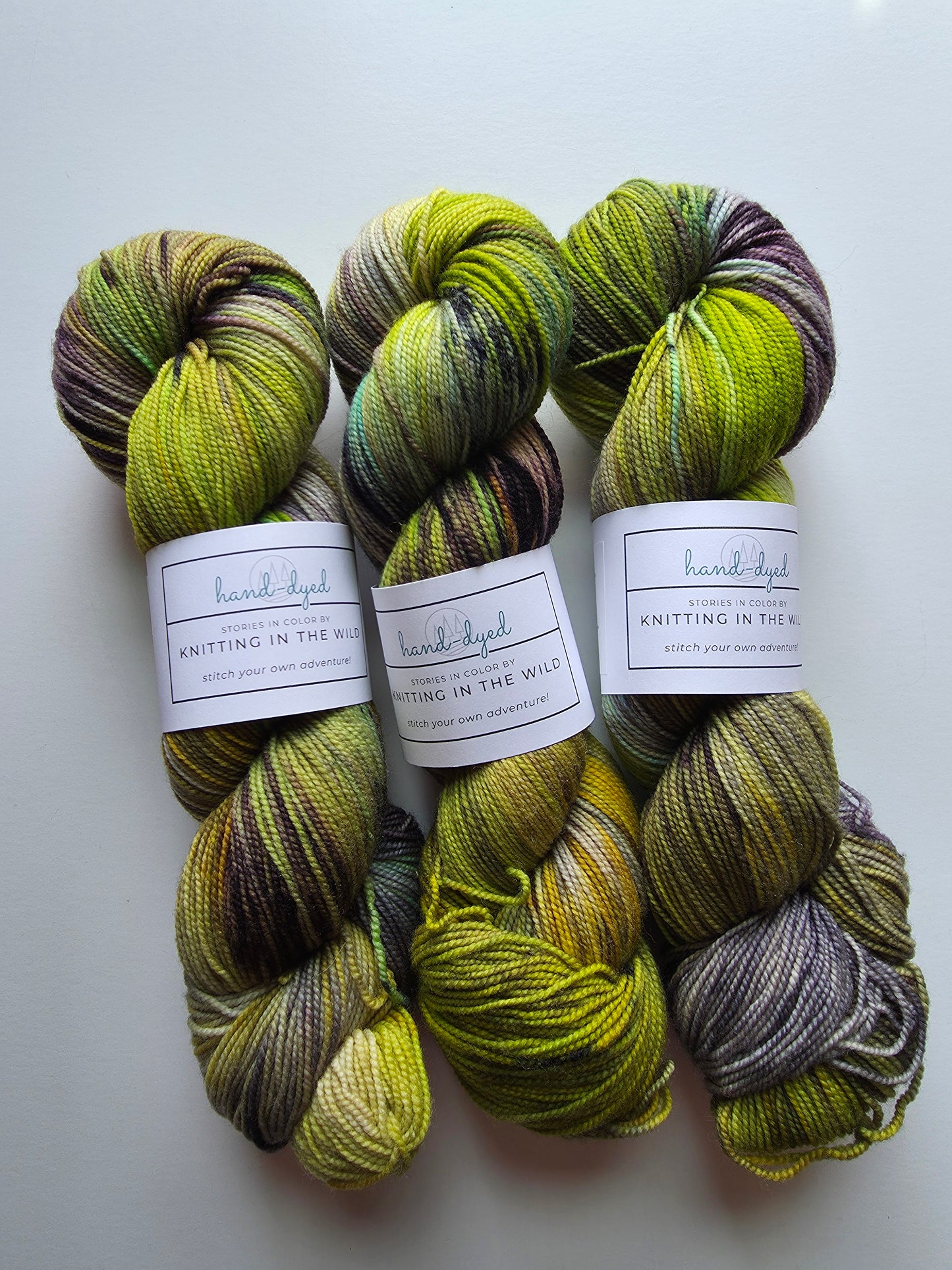 Knitting In The Wild Hand Dyed Yarn | Temperance | Tree Frog
