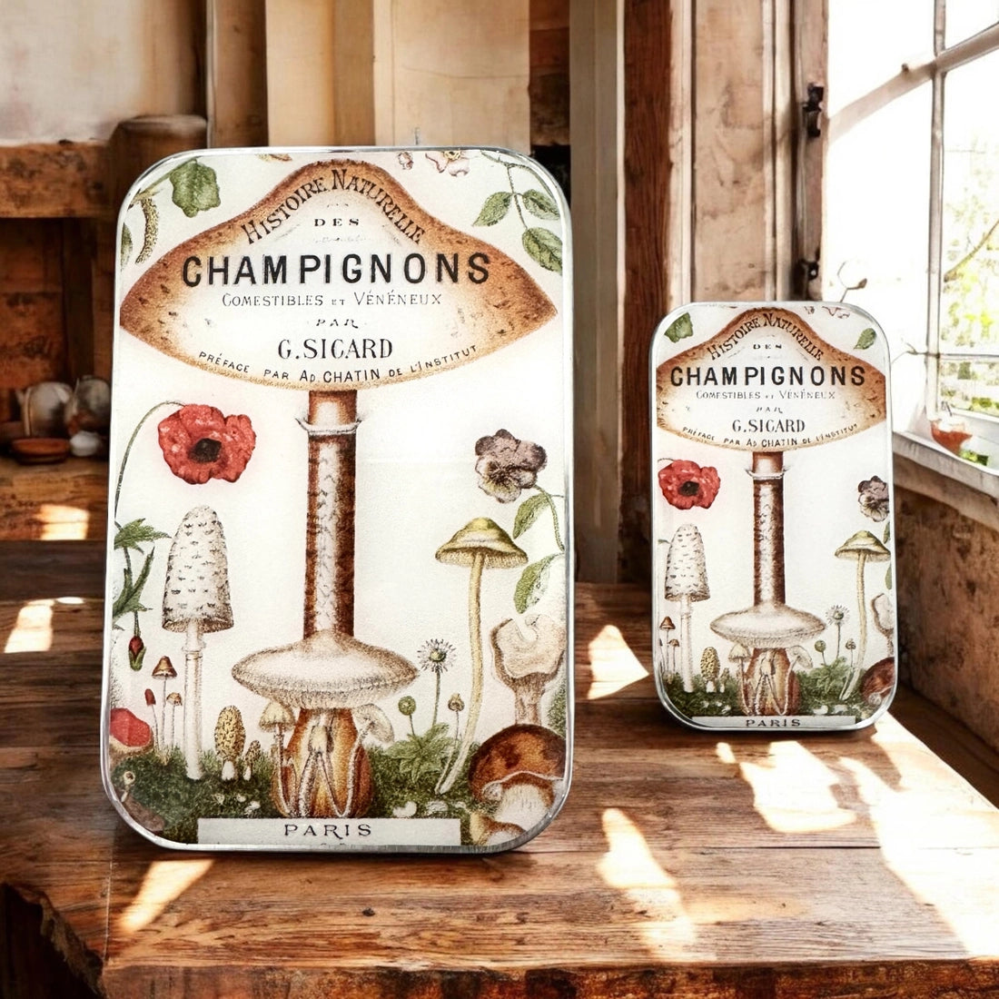 Small Vintage Mushrooms Notions Tin