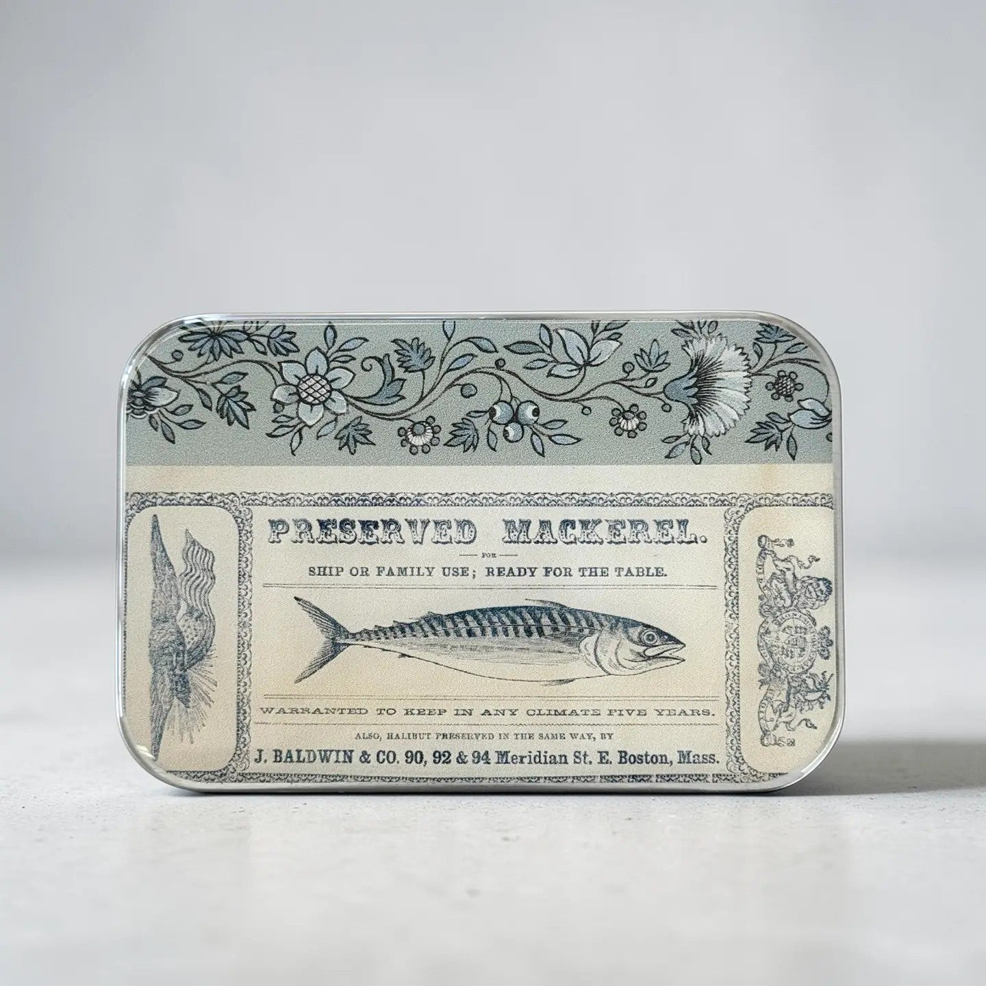 Large Tinned Fish Notions Tin