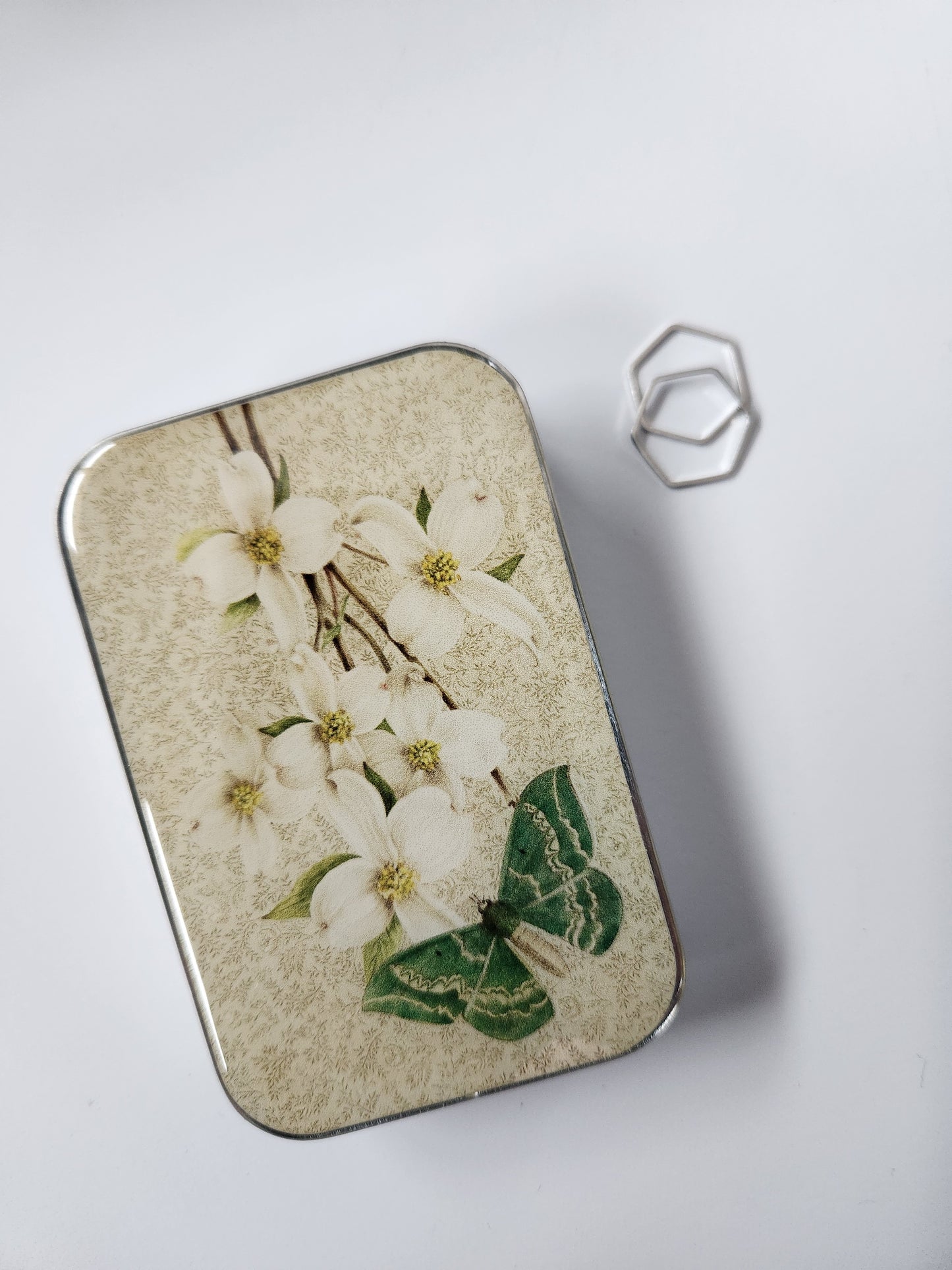 Large Green Moth and Dogwood Notions Tin