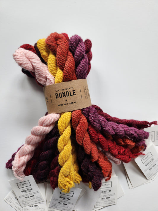 Blue Sky Fibers | Woolstok Worsted Bundle | Warm