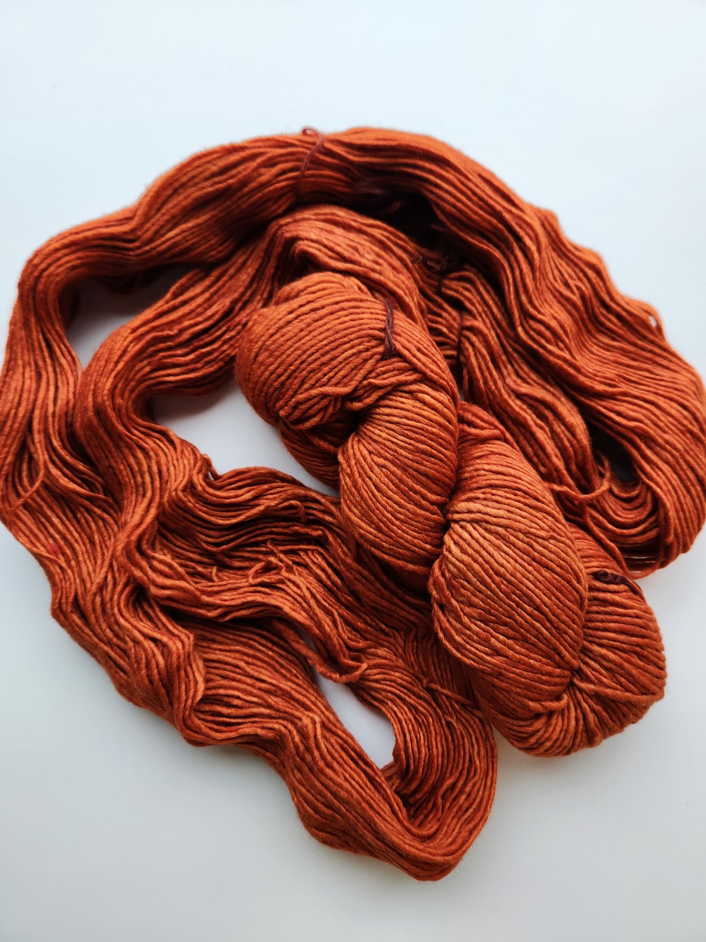 Malabrigo | Worsted | Rhodesian Ridgeback