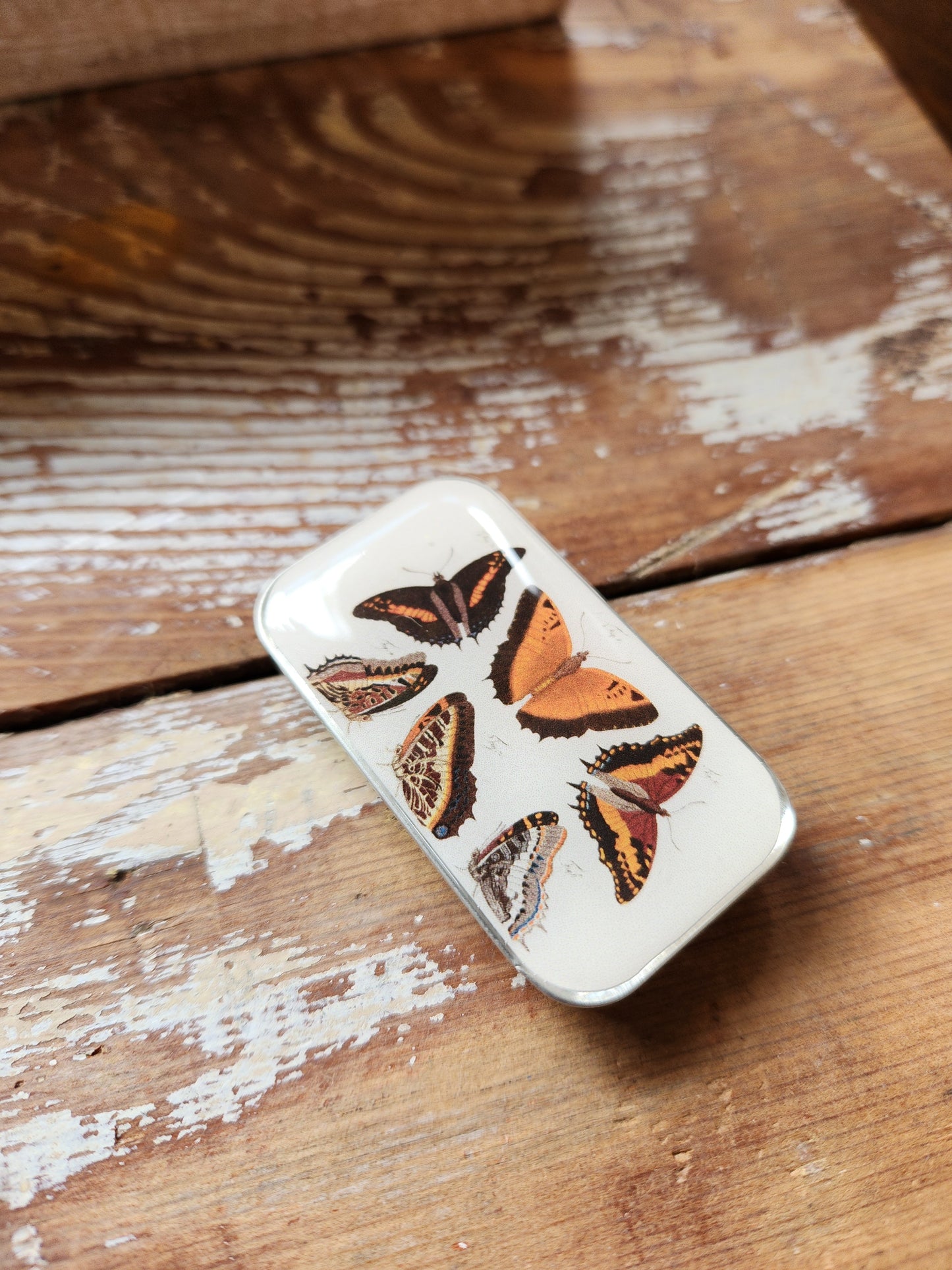 Small Orange Butterflies Notions Tin