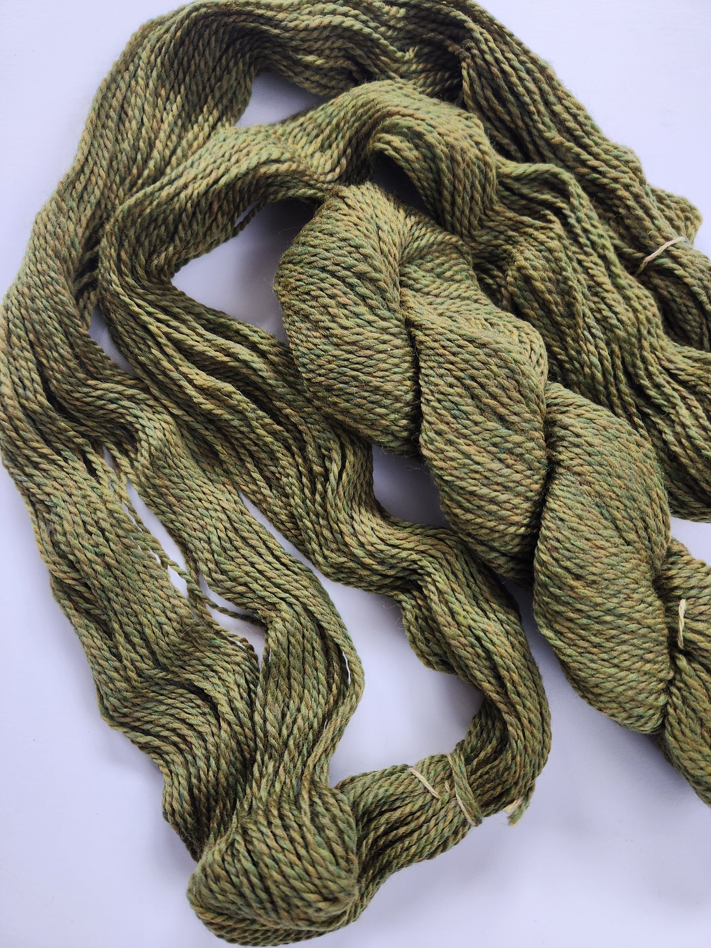 Blue Sky Fibers | Woolstok (Worsted) | No. 1309 Earth Ivy