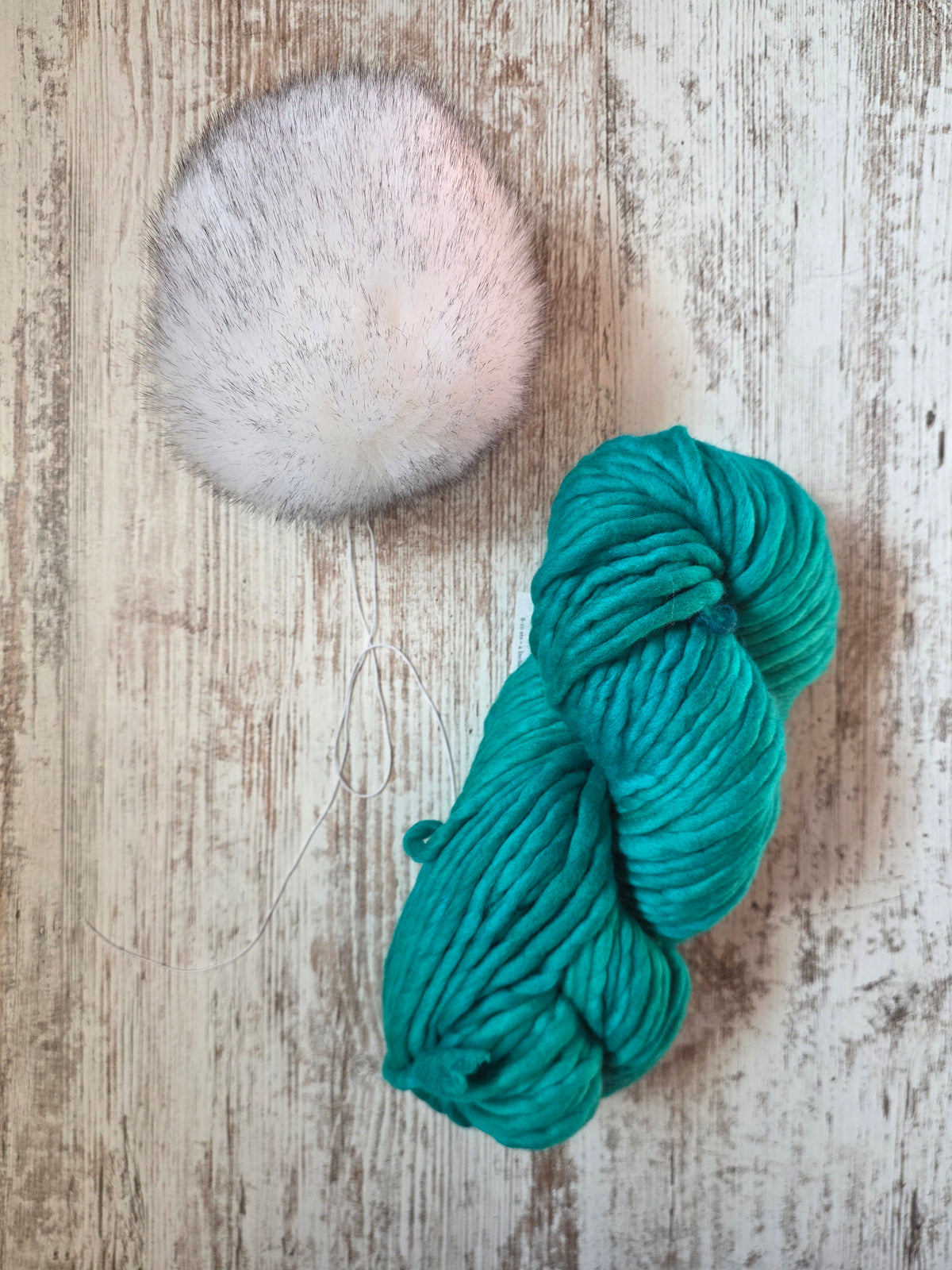 Yarn and Pom Bundle | Malabrigo Rasta | Bahamas Green