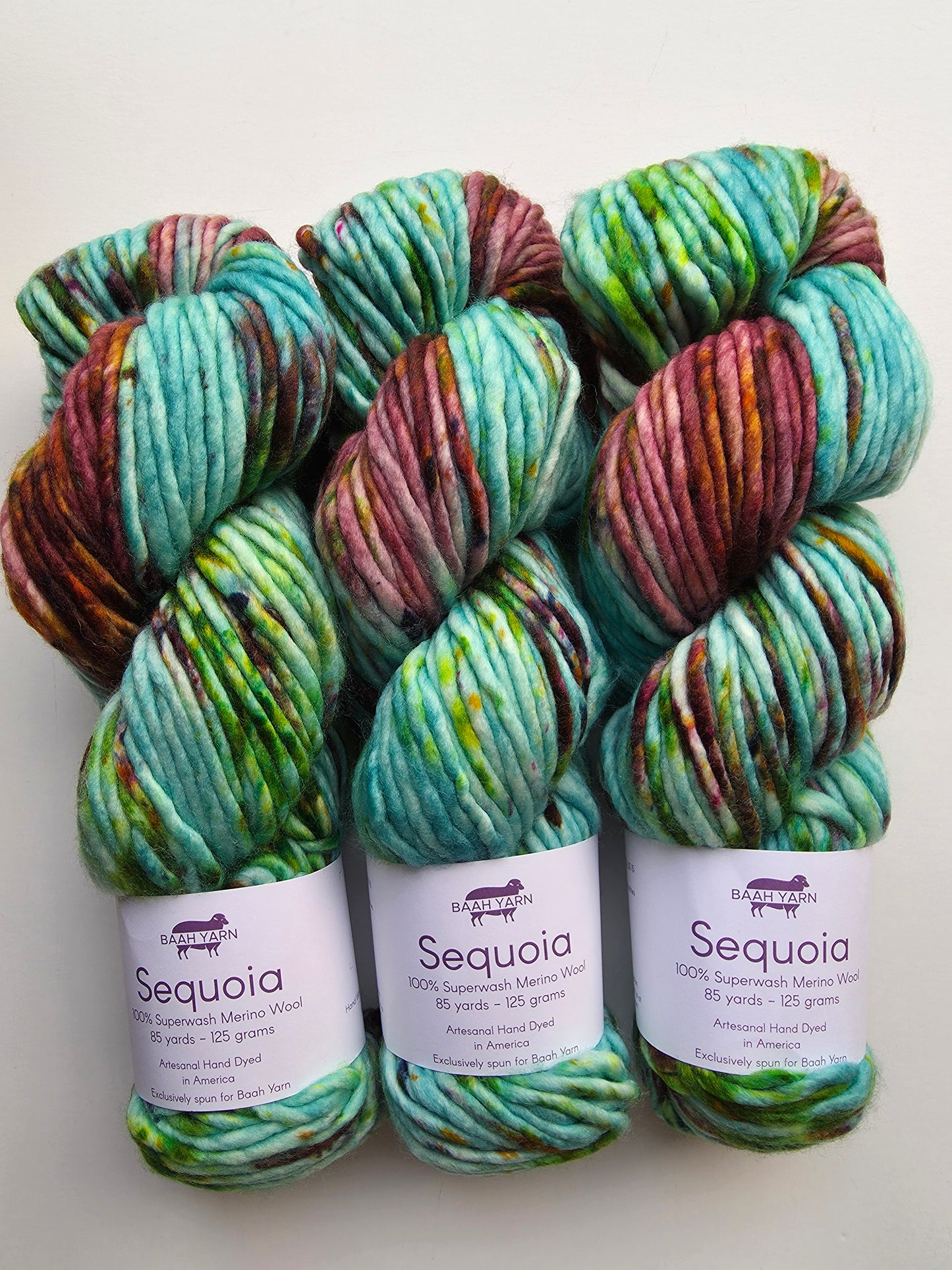Baah Yarn | Sequoia | Foxtrot