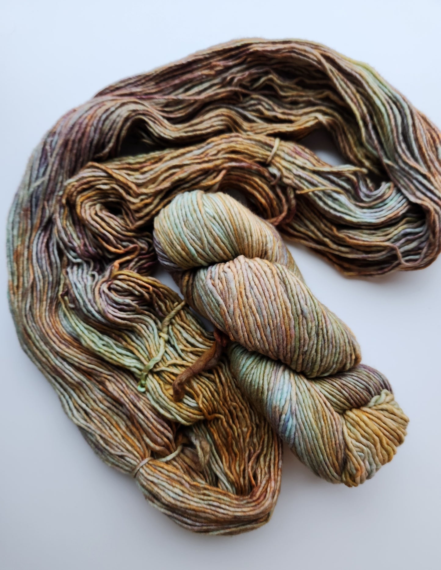 Malabrigo | Worsted | Amphibian