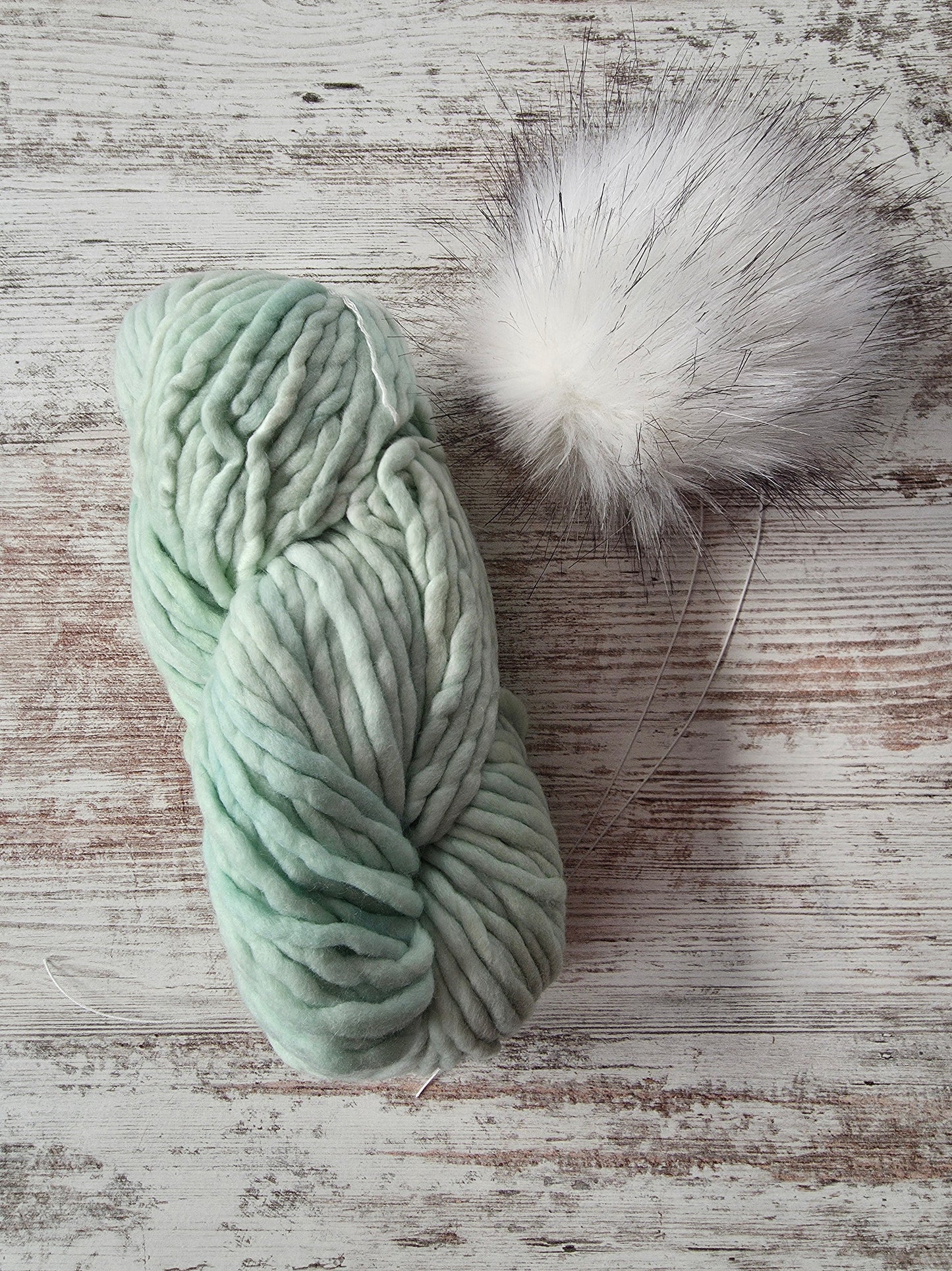 Yarn and Pom Bundle | Malabrigo Rasta | Cucumber