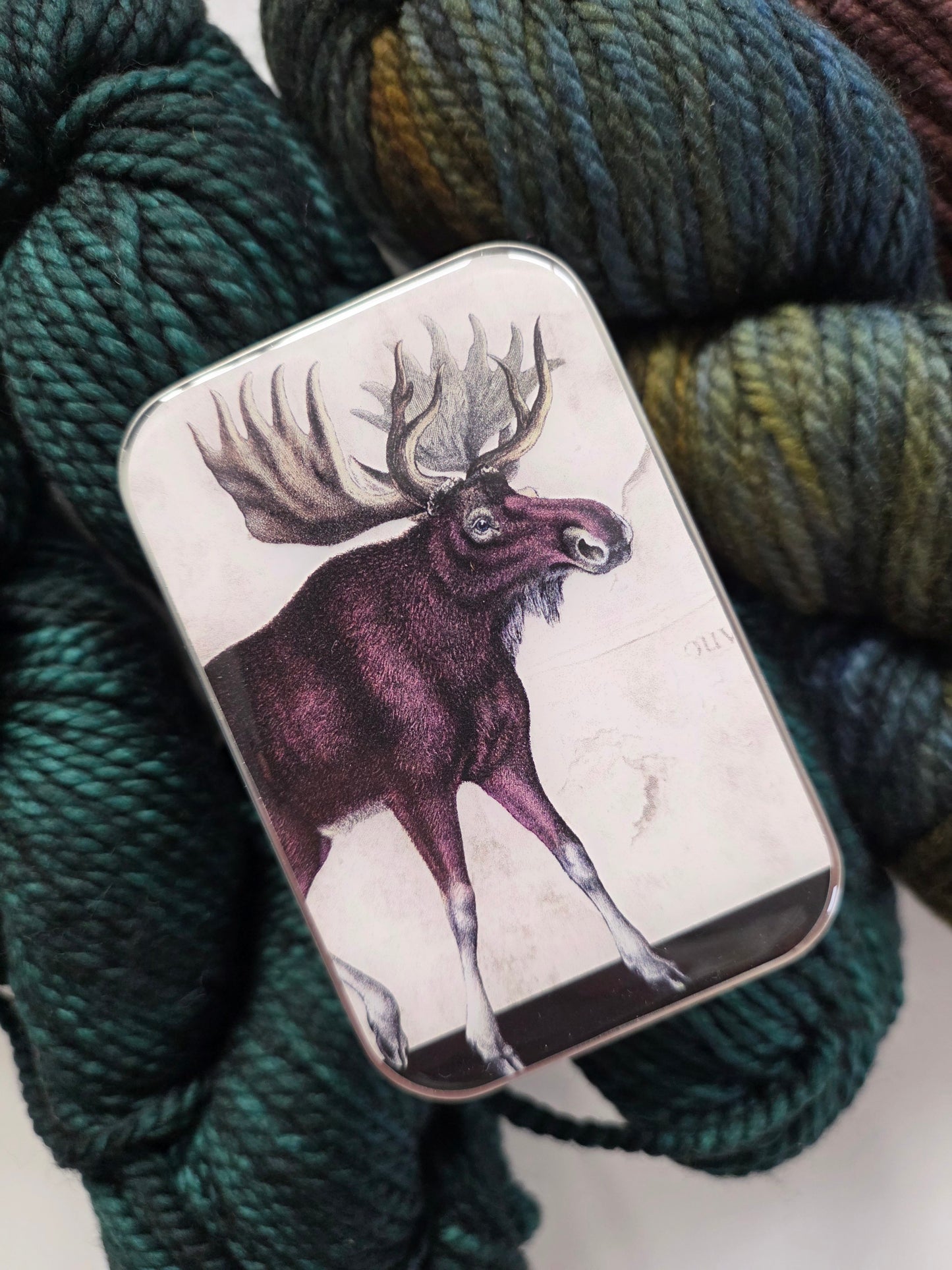 Large Moose Notions Tin