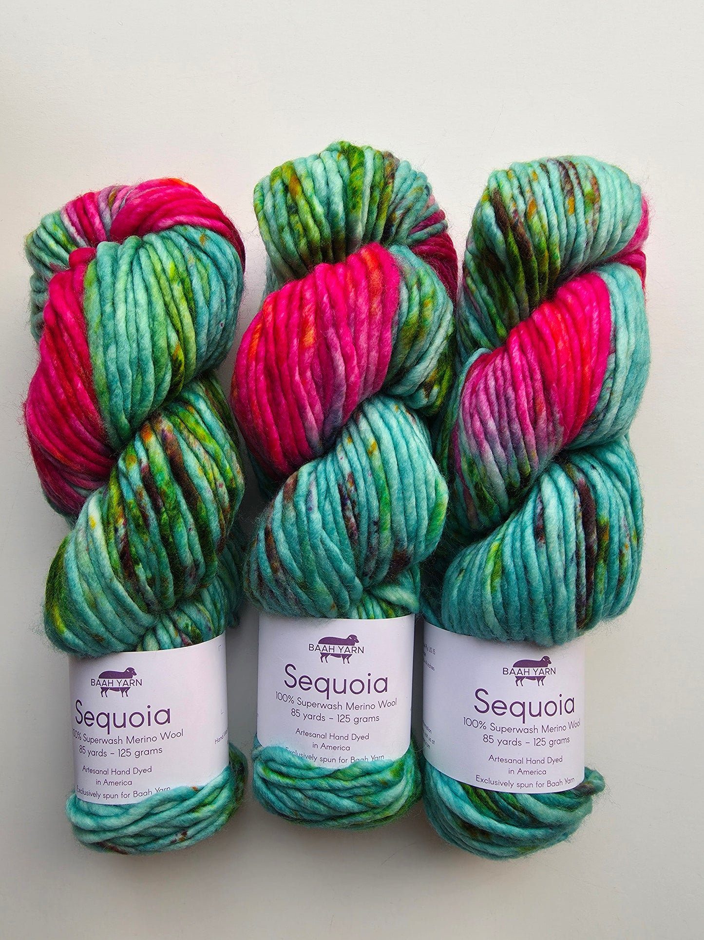 Baah Yarn | Sequoia | Disco Fever