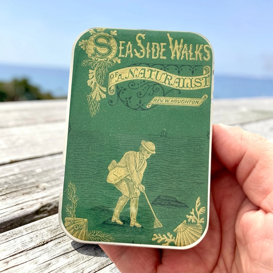 Large Seaside Naturalist Notions Tin
