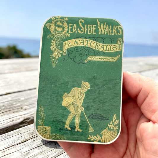 Large Seaside Naturalist Notions Tin