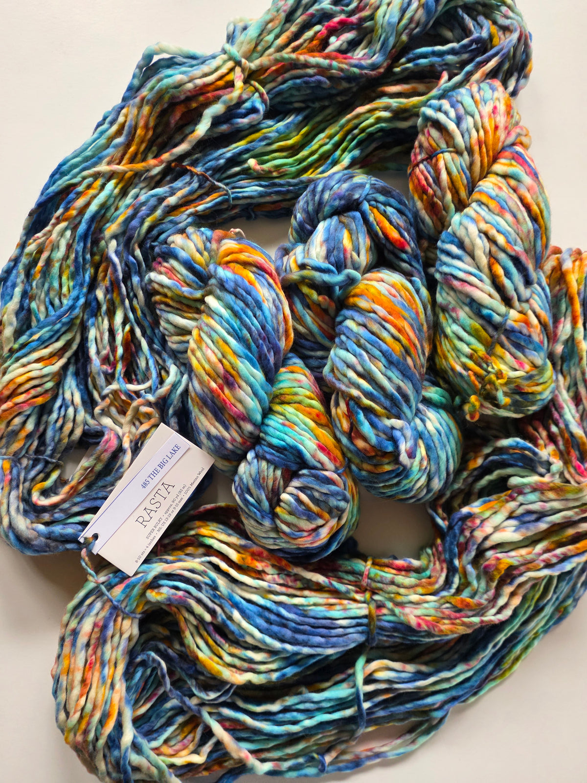 Malabrigo | Rasta | The Big Lake