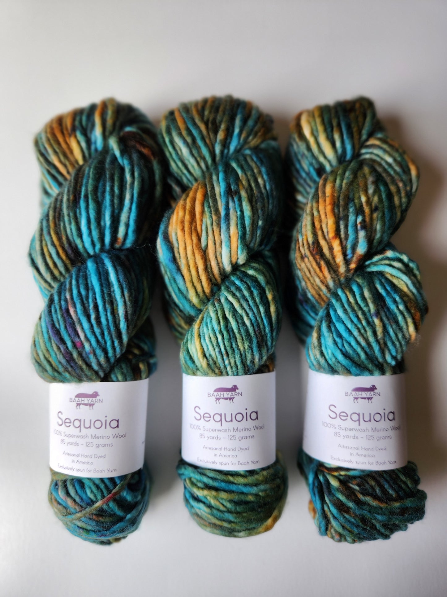 Baah Yarn | Sequoia | January '18