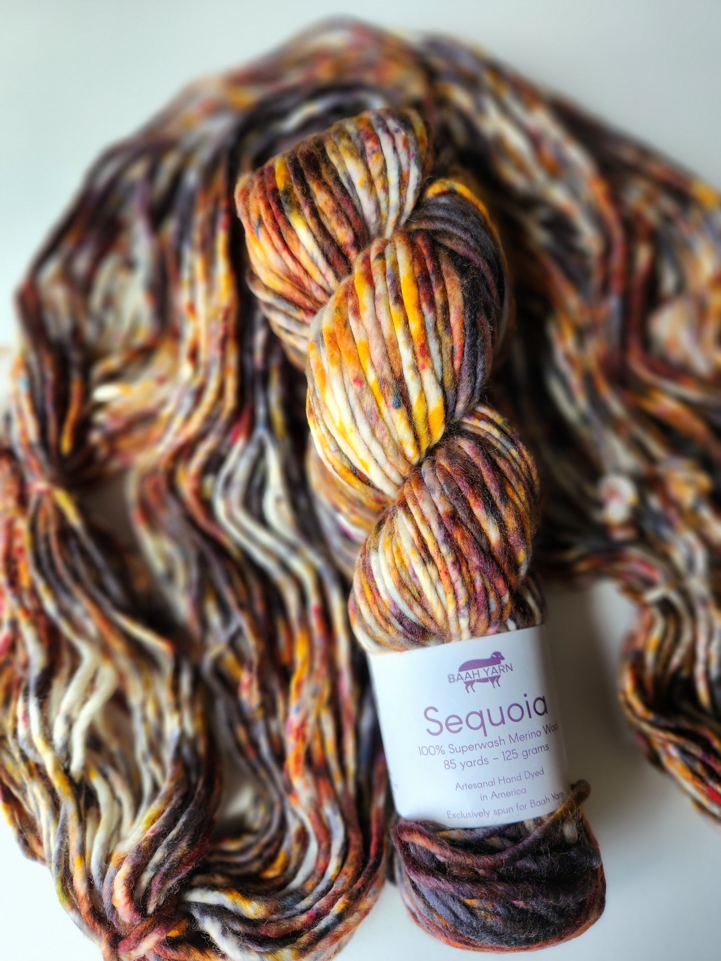 Baah Yarn | Sequoia | The Smore's The Merrier