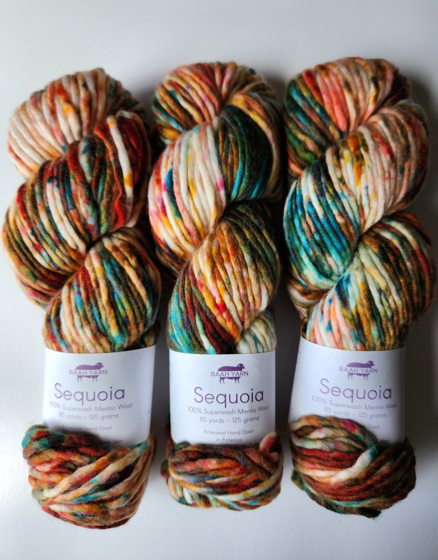 Baah Yarn | Sequoia | Fall-Ing For You