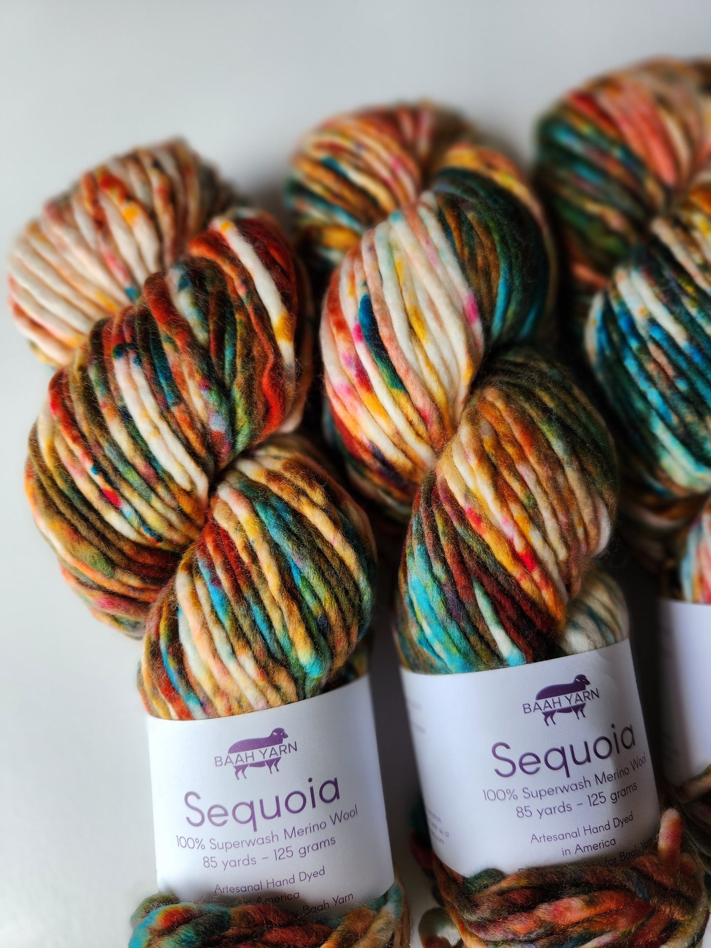 Baah Yarn | Sequoia | Fall-Ing For You