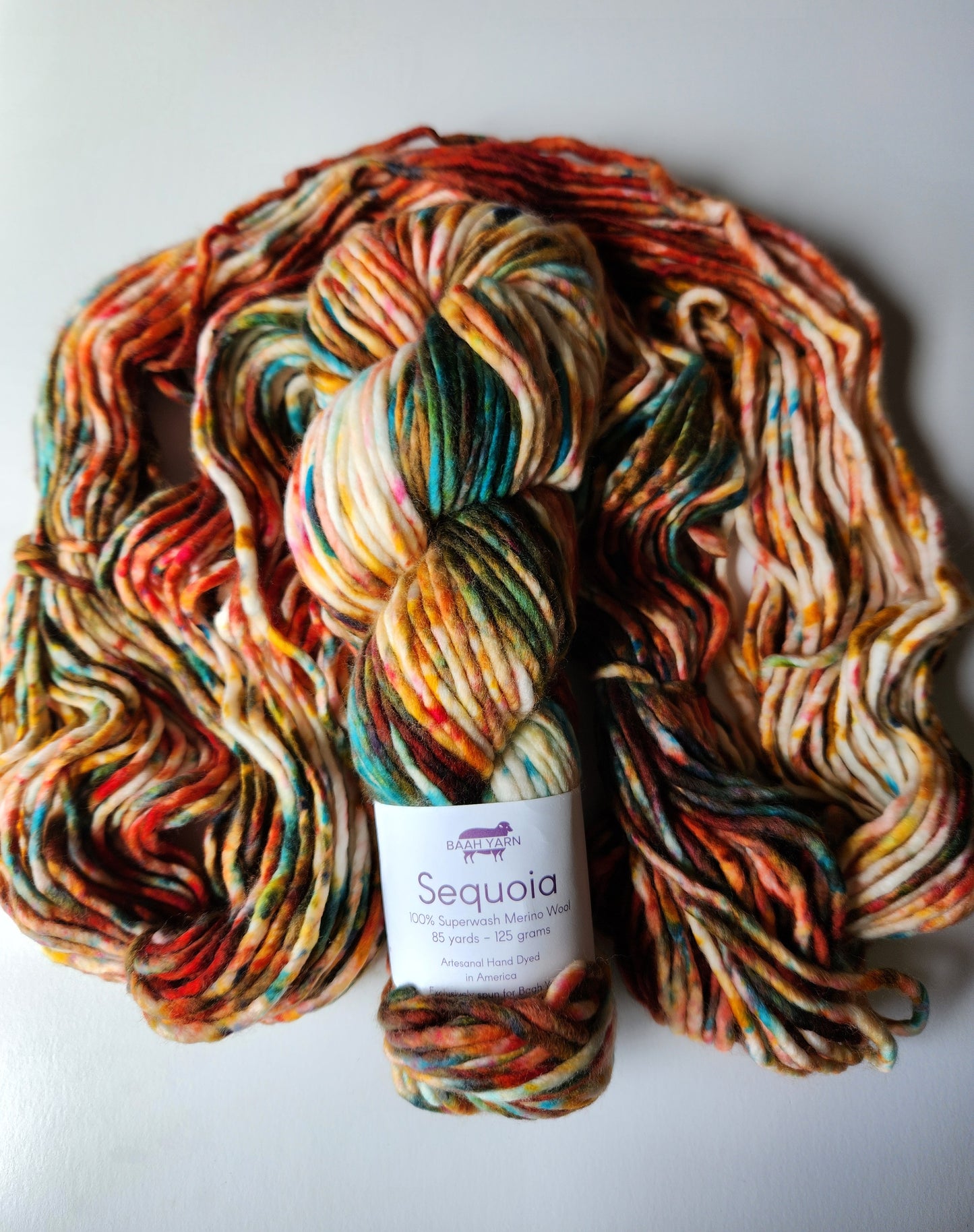 Baah Yarn | Sequoia | Fall-Ing For You