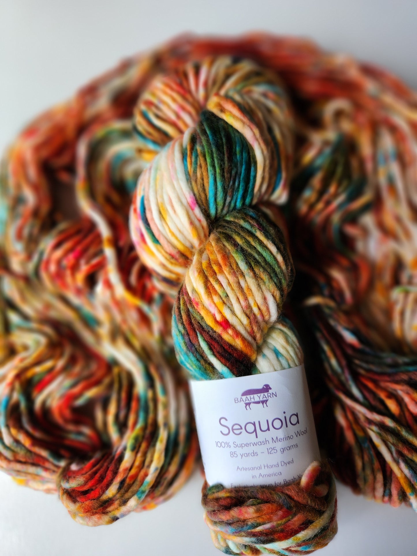 Baah Yarn | Sequoia | Fall-Ing For You