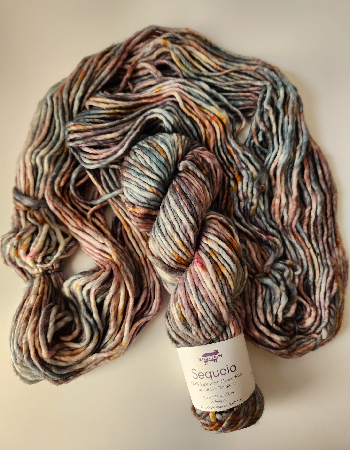 Baah Yarn | Sequoia | Brain Freeze