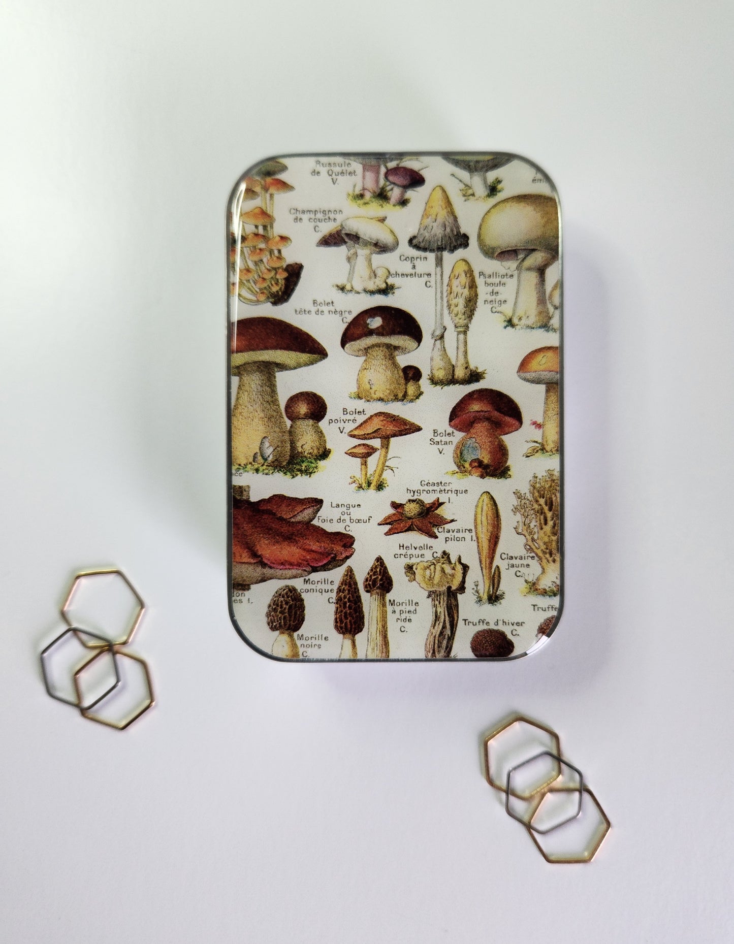 Large Mushroom Notions Tin