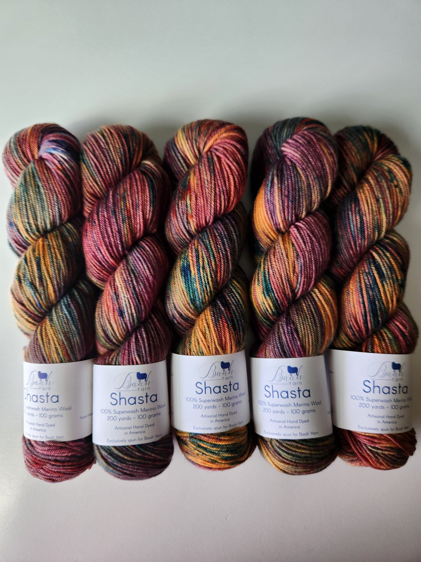 Baah Yarn | Shasta | November '18