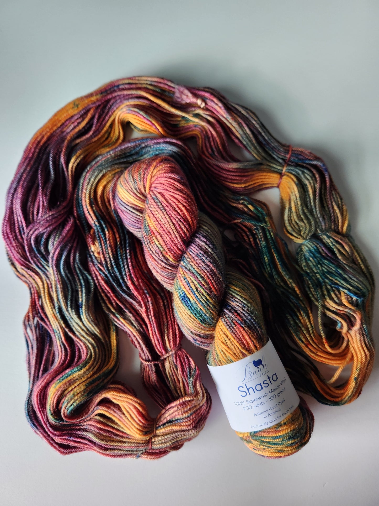 Baah Yarn | Shasta | November '18