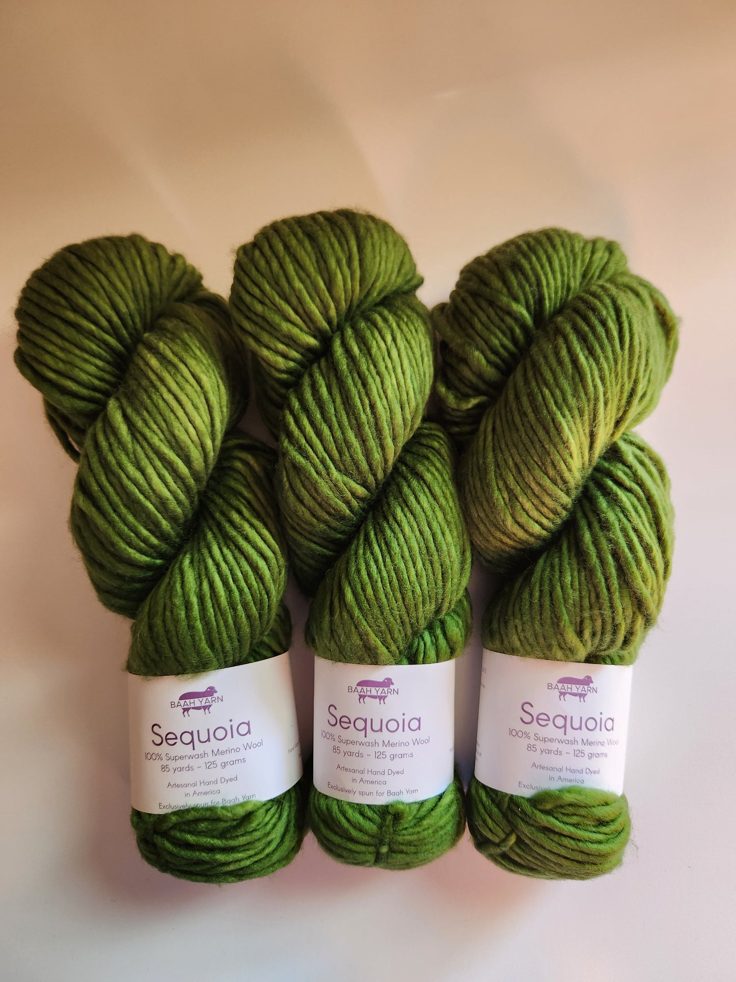 Baah Yarn | Sequoia | Green Come True