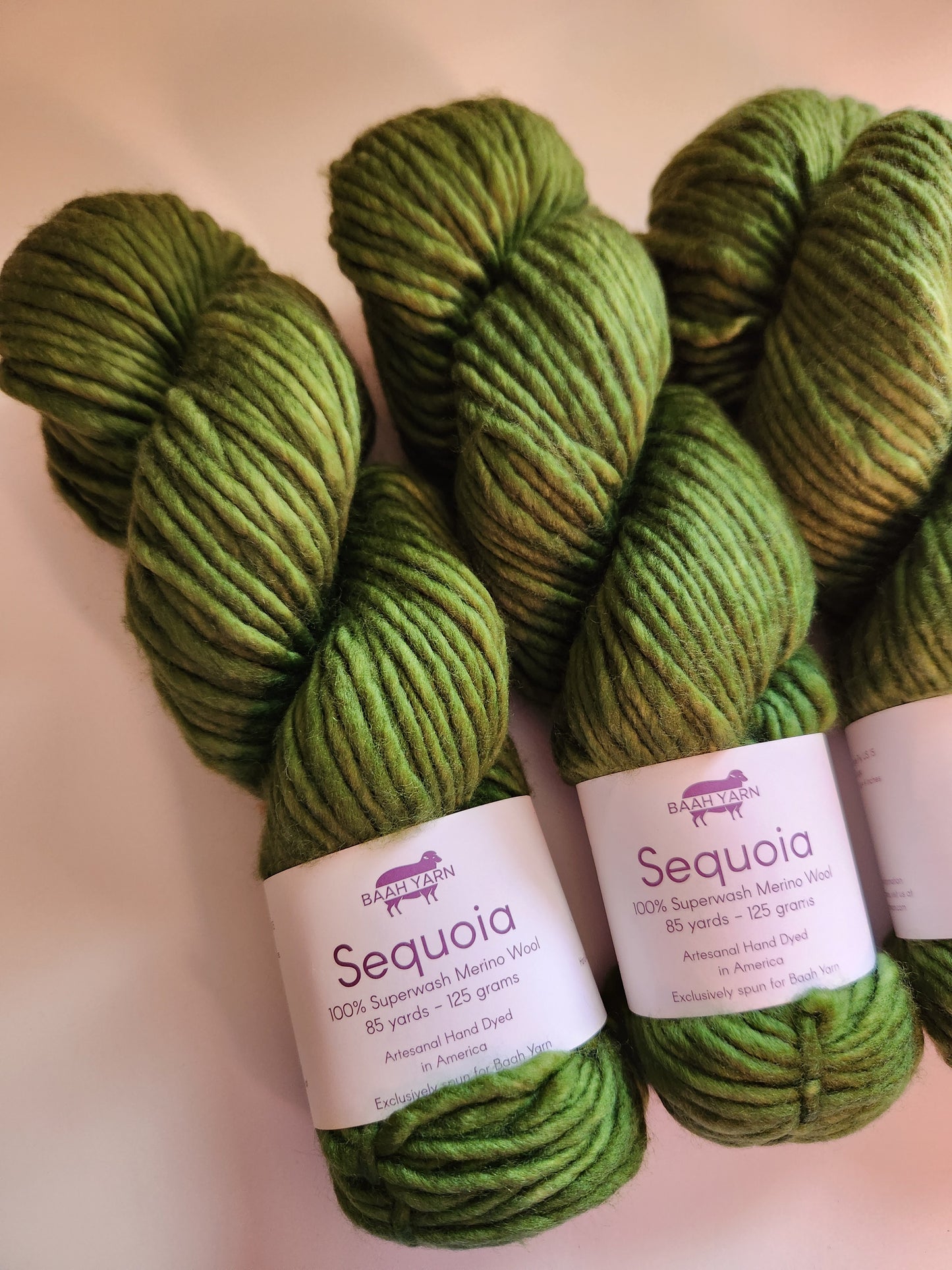 Baah Yarn | Sequoia | Green Come True