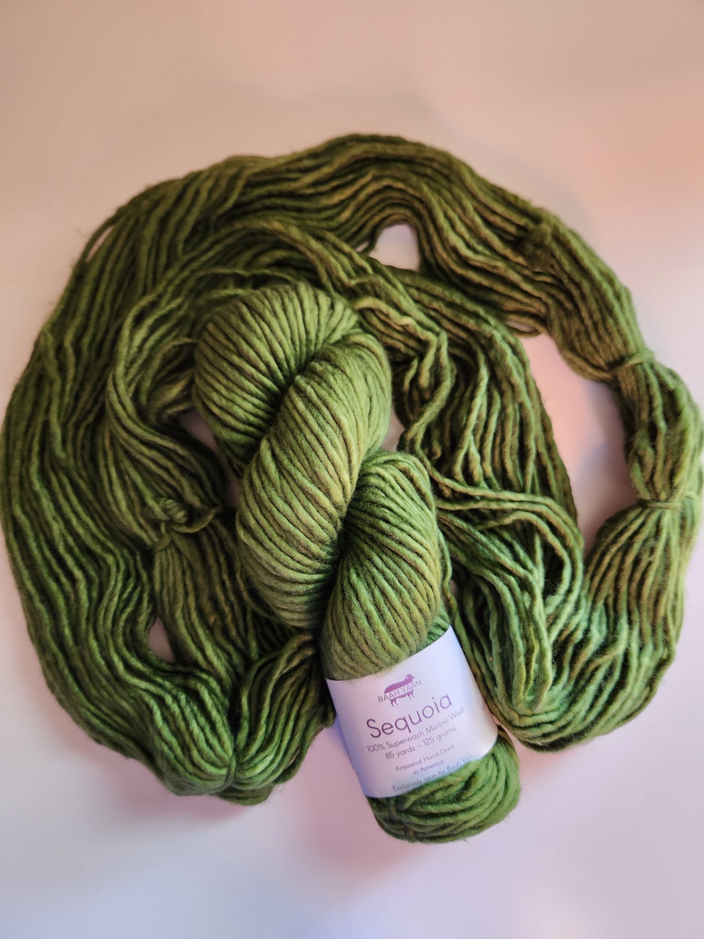 Baah Yarn | Sequoia | Green Come True