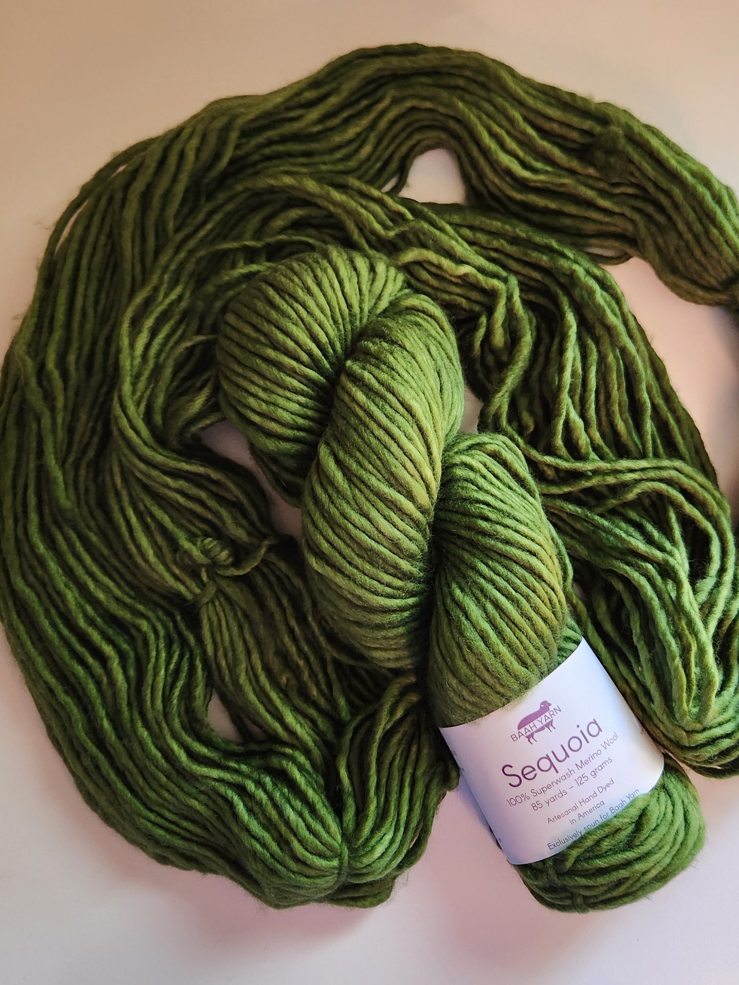 Baah Yarn | Sequoia | Green Come True