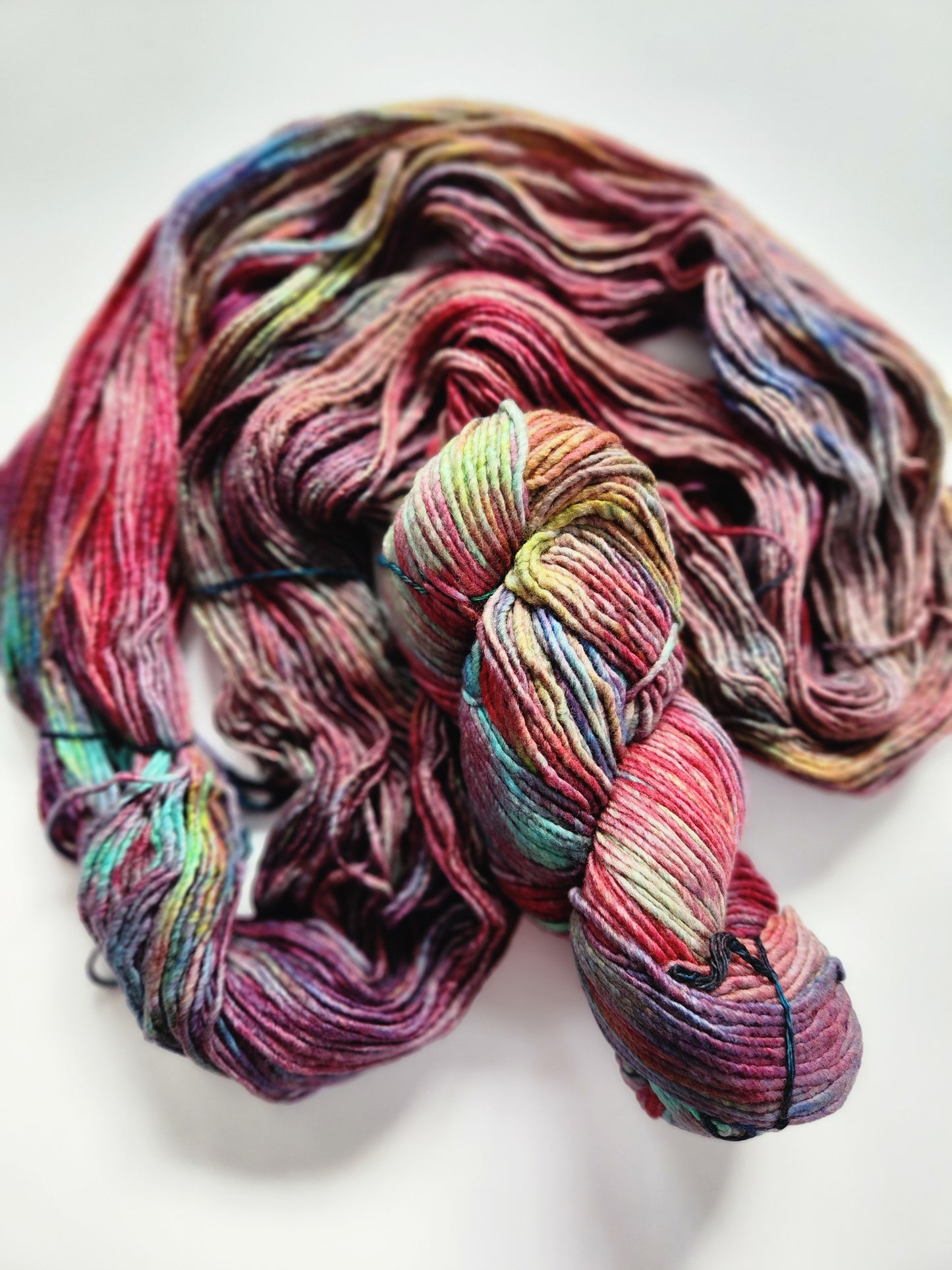 Malabrigo | Worsted | Camaleon