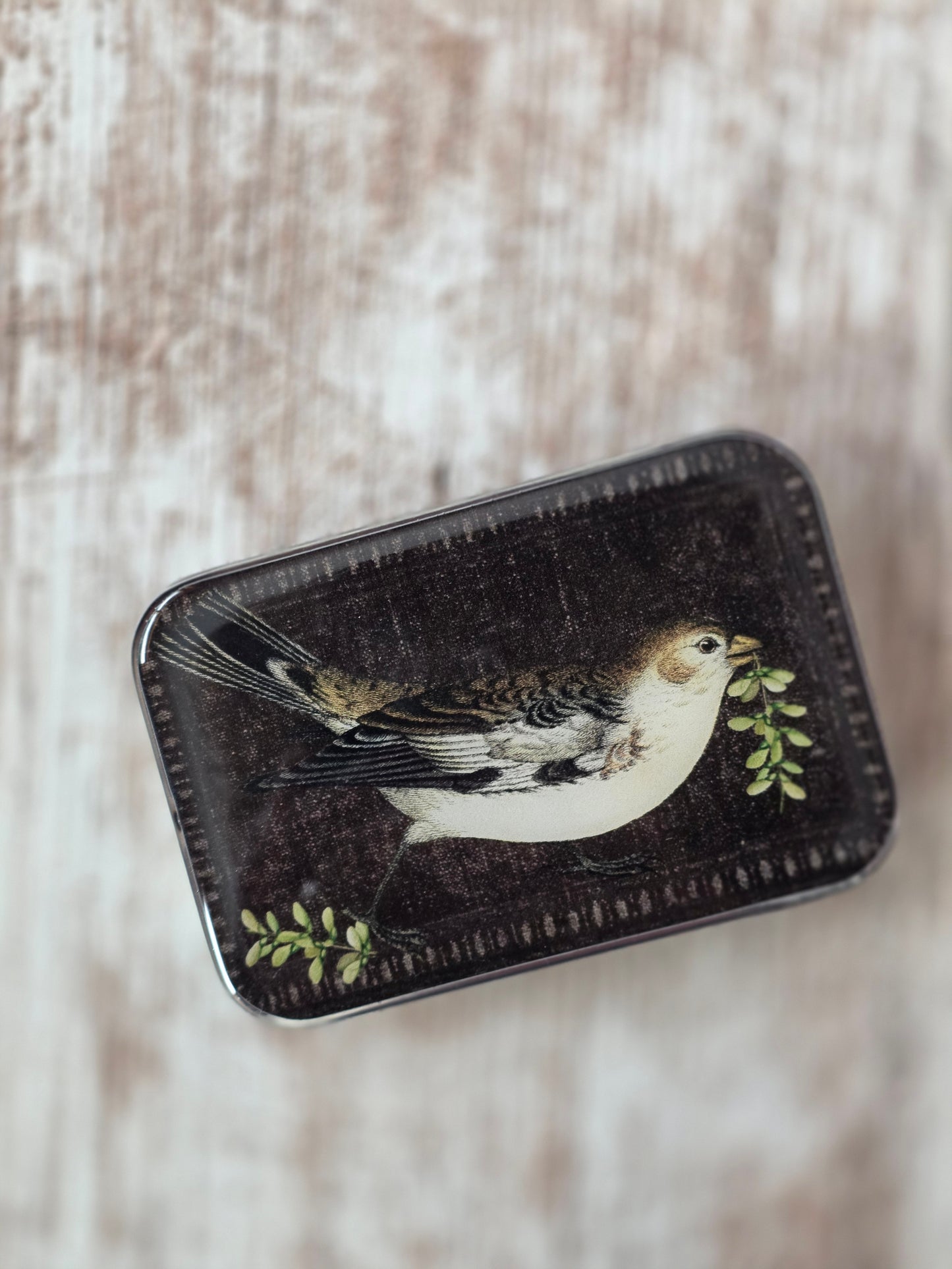 Large Birdsong Notions Tin