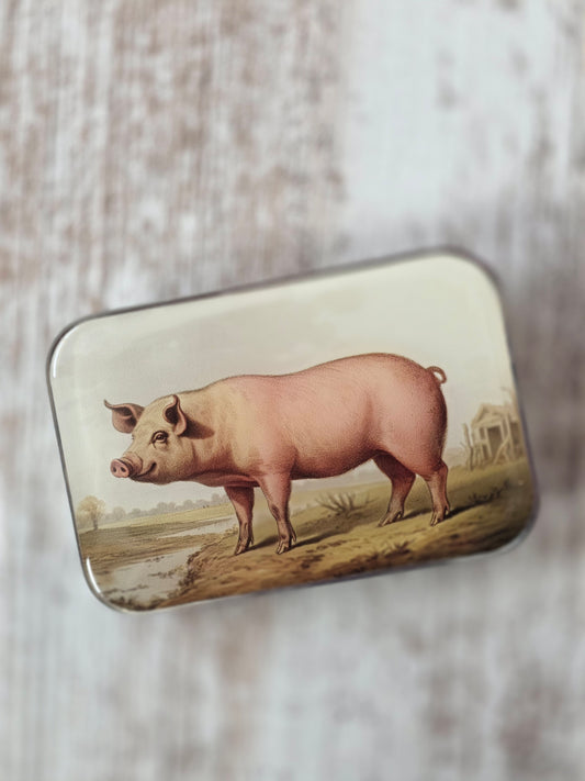Large Vintage Pig Notions Tin