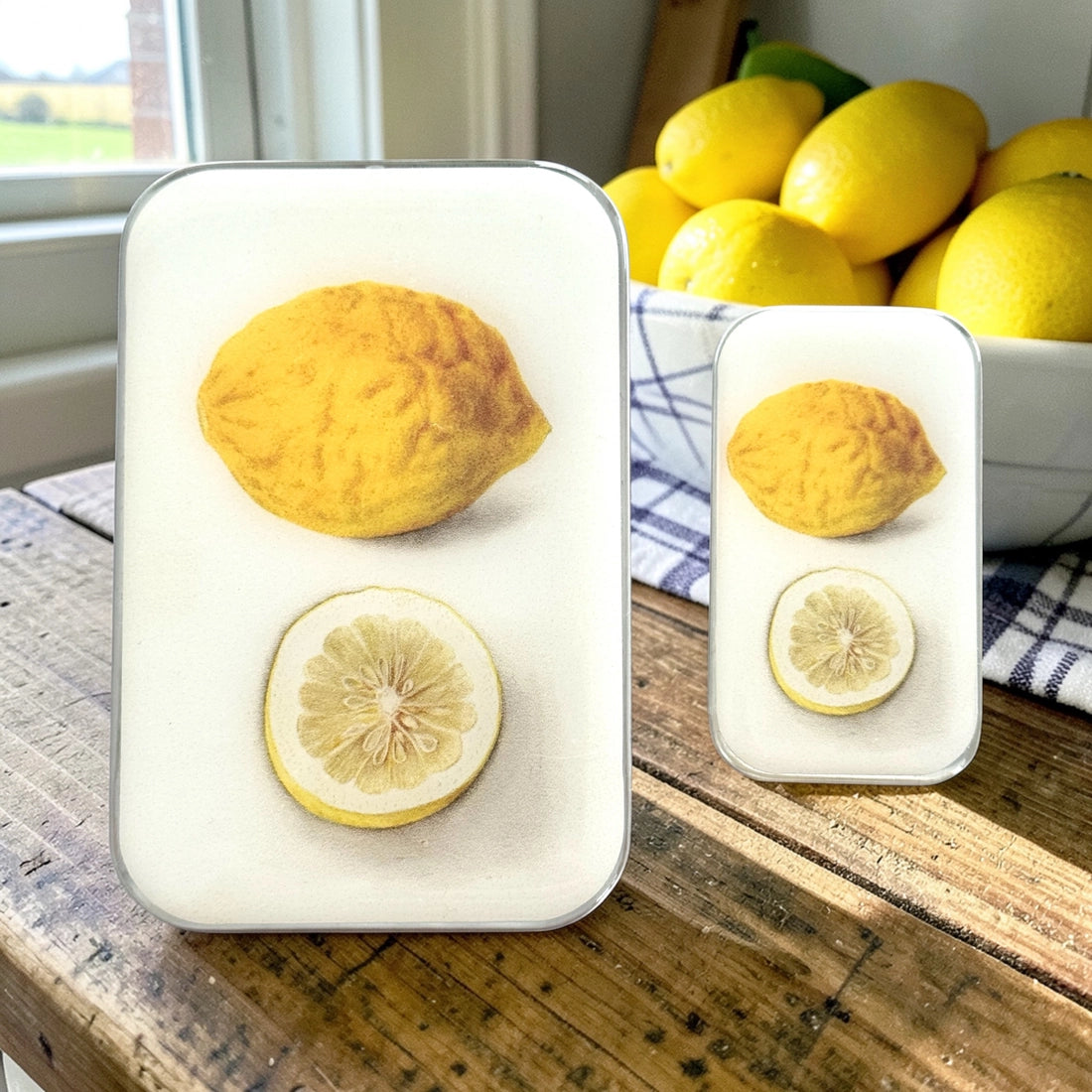 Large Lemon Notions Tin