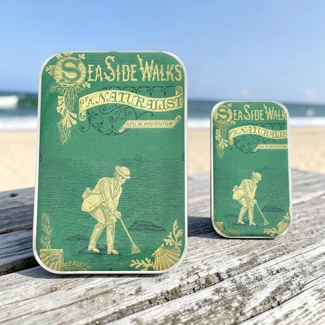 Large Seaside Naturalist Notions Tin
