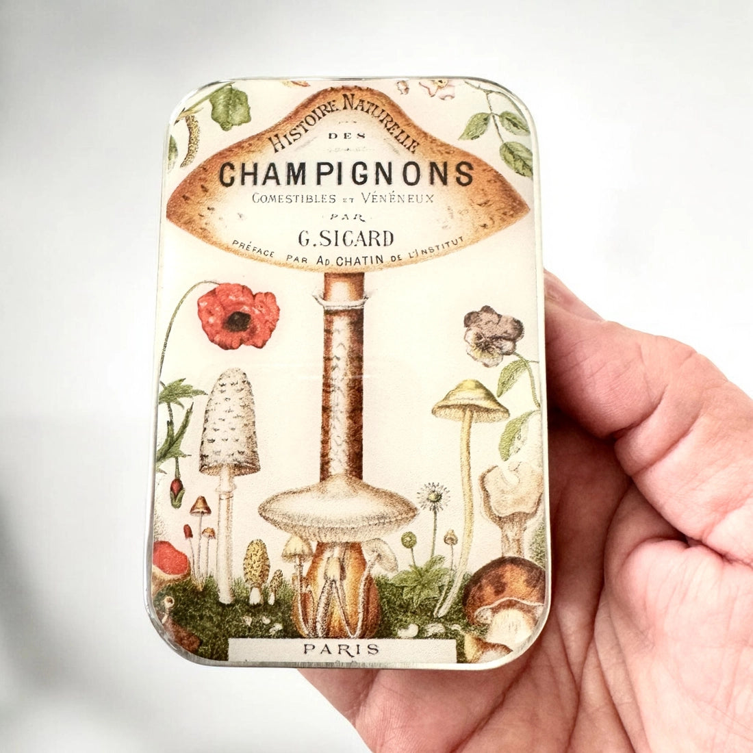 Large Vintage Mushrooms Notions Tin