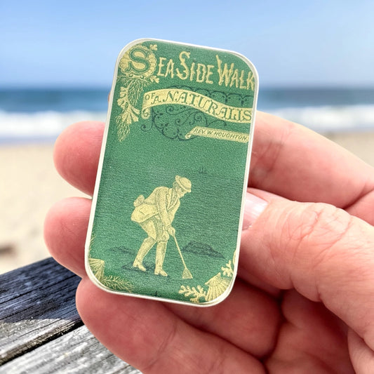 Small Seaside Naturalist Notions Tin