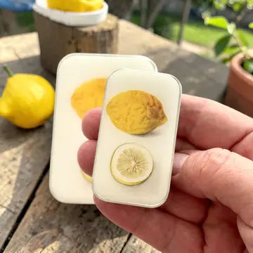 Small Lemon Notions Tin
