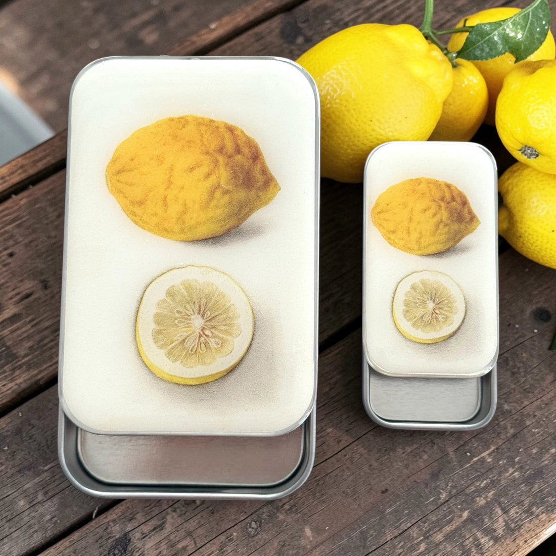 Small Lemon Notions Tin