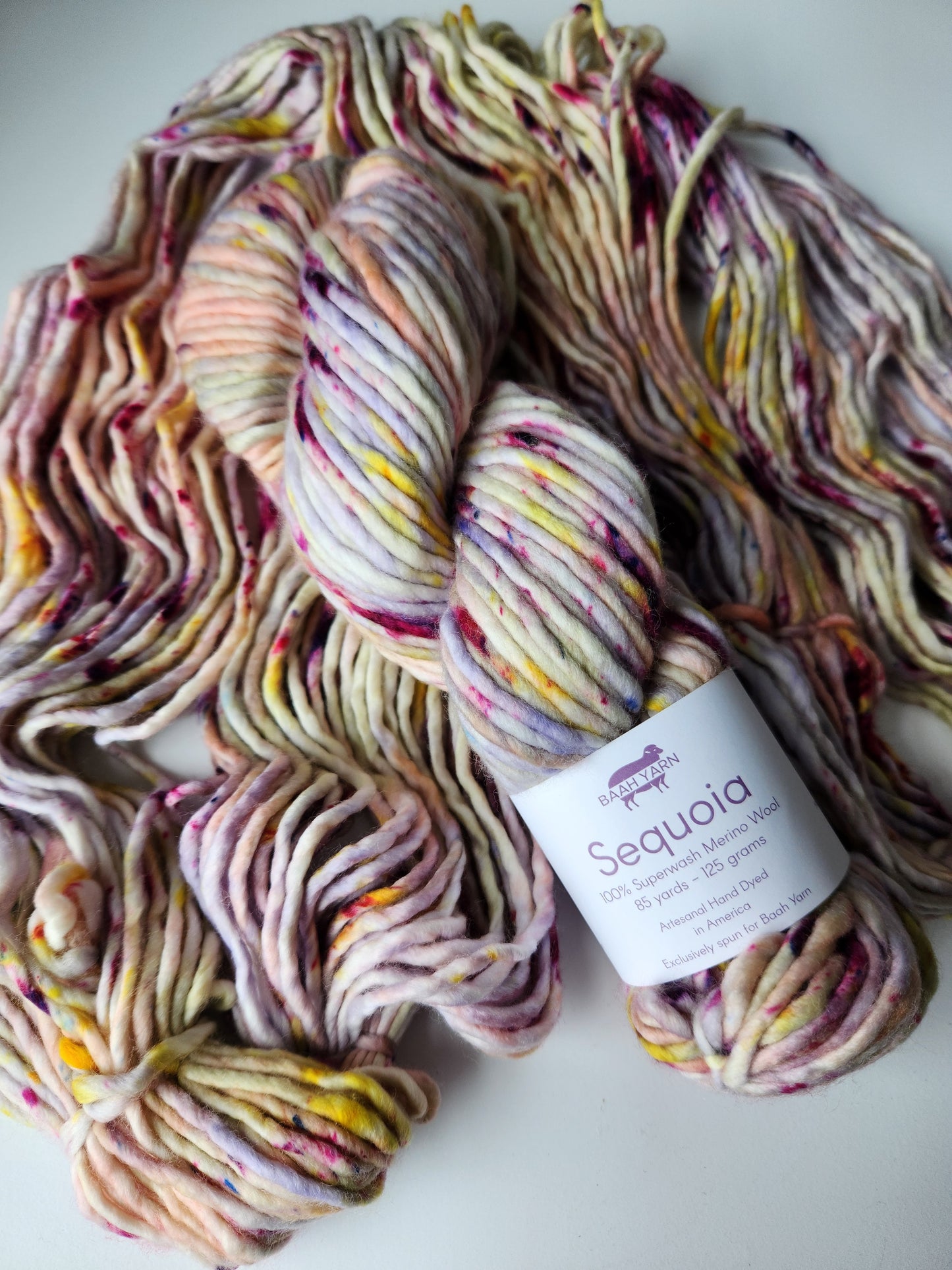 Baah Yarn | Sequoia | March '24