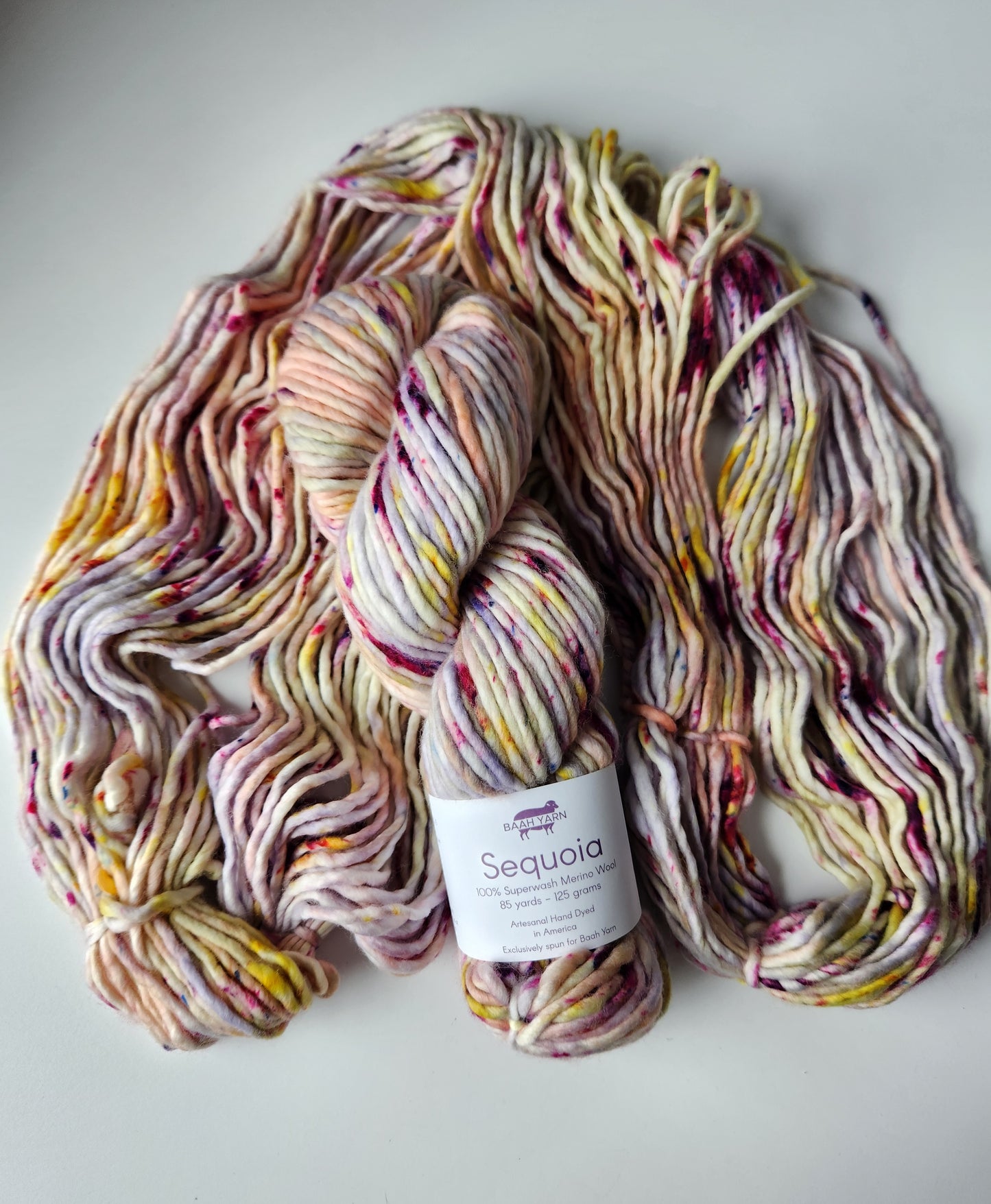 Baah Yarn | Sequoia | March '24