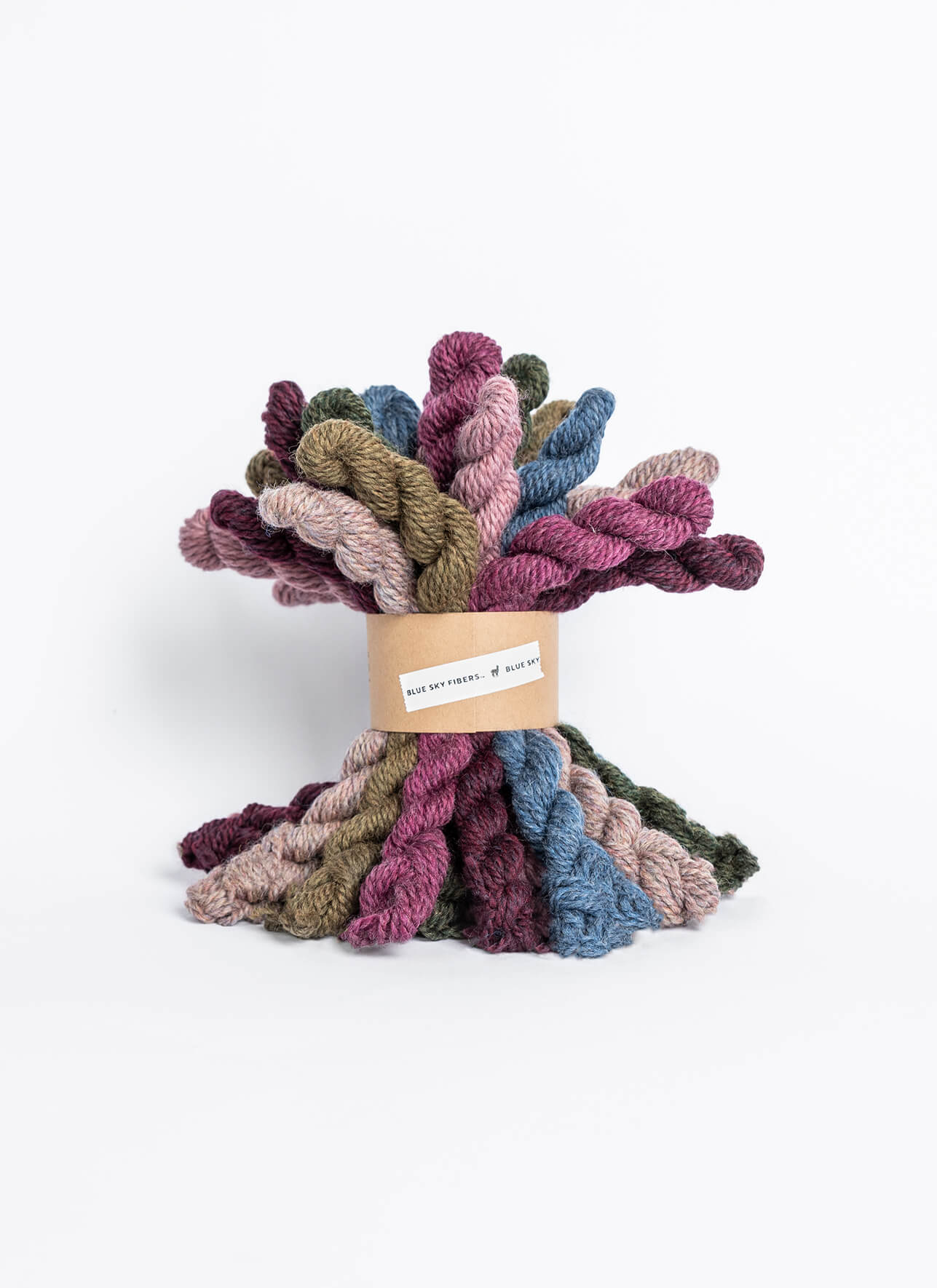 Blue Sky Fibers | Woolstok Worsted Bundle | Bramble and Fig