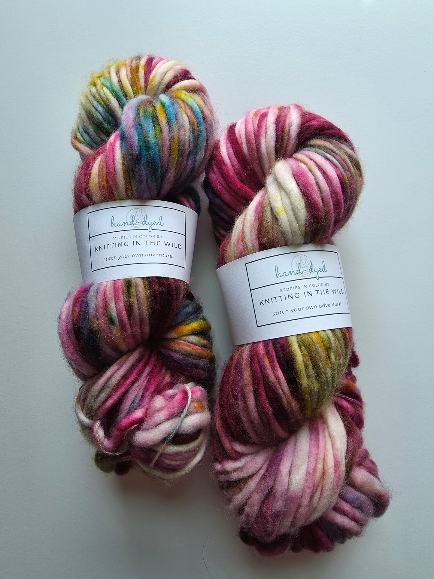 Knitting In The Wild Hand Dyed Yarn | Super Bulky | Favorite Bookstore